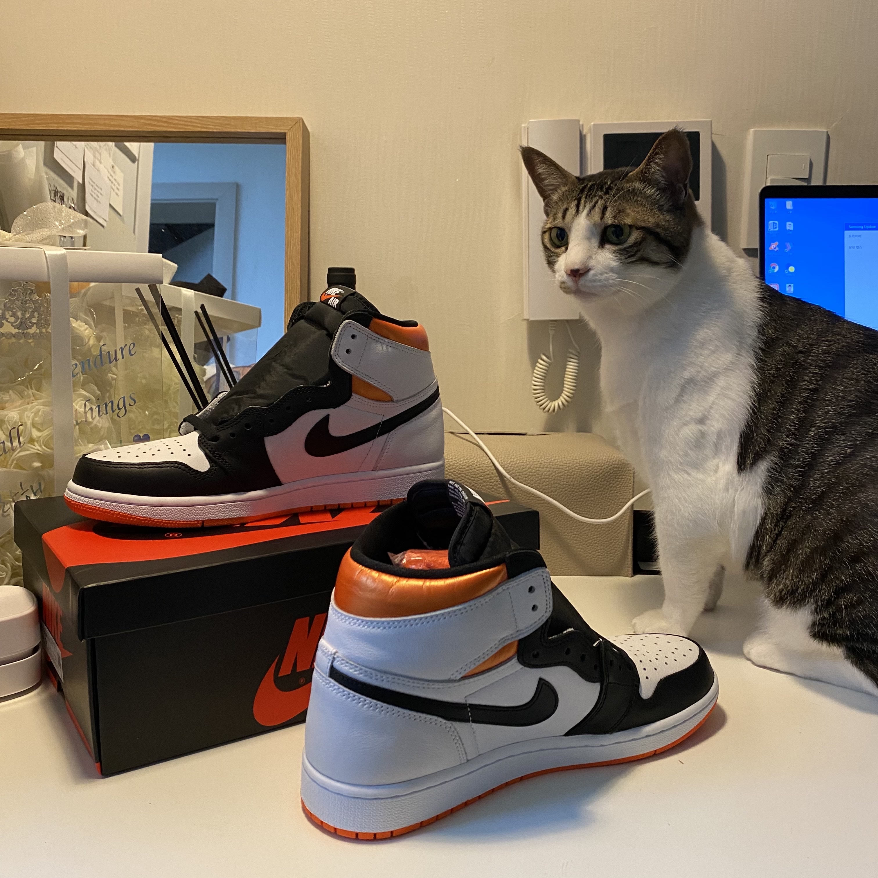 Jordan 1 Retro High OG Electro Orange 착용 스타일 - 1