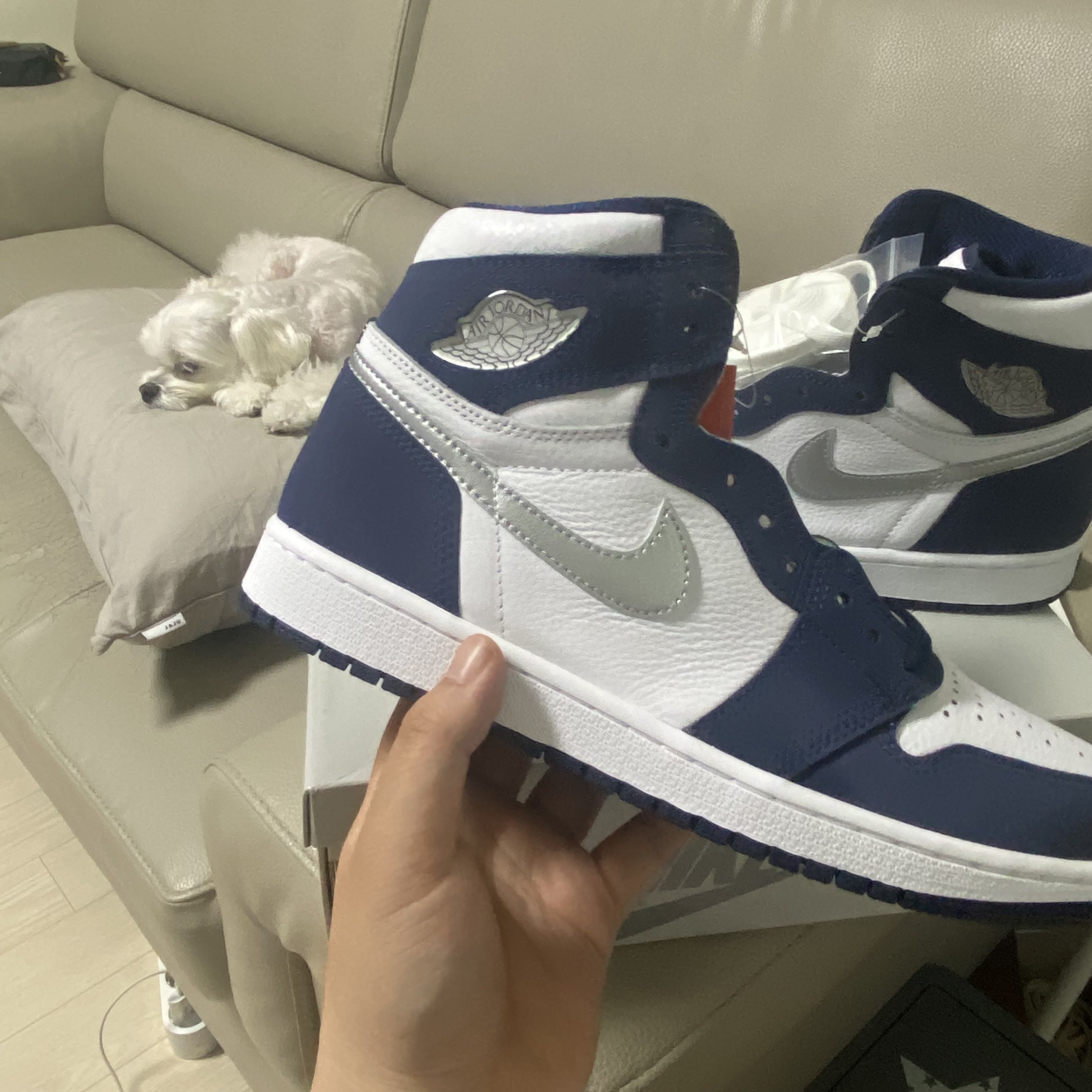Jordan 1 Retro High OG CO.JP Midnight Navy 착용 스타일