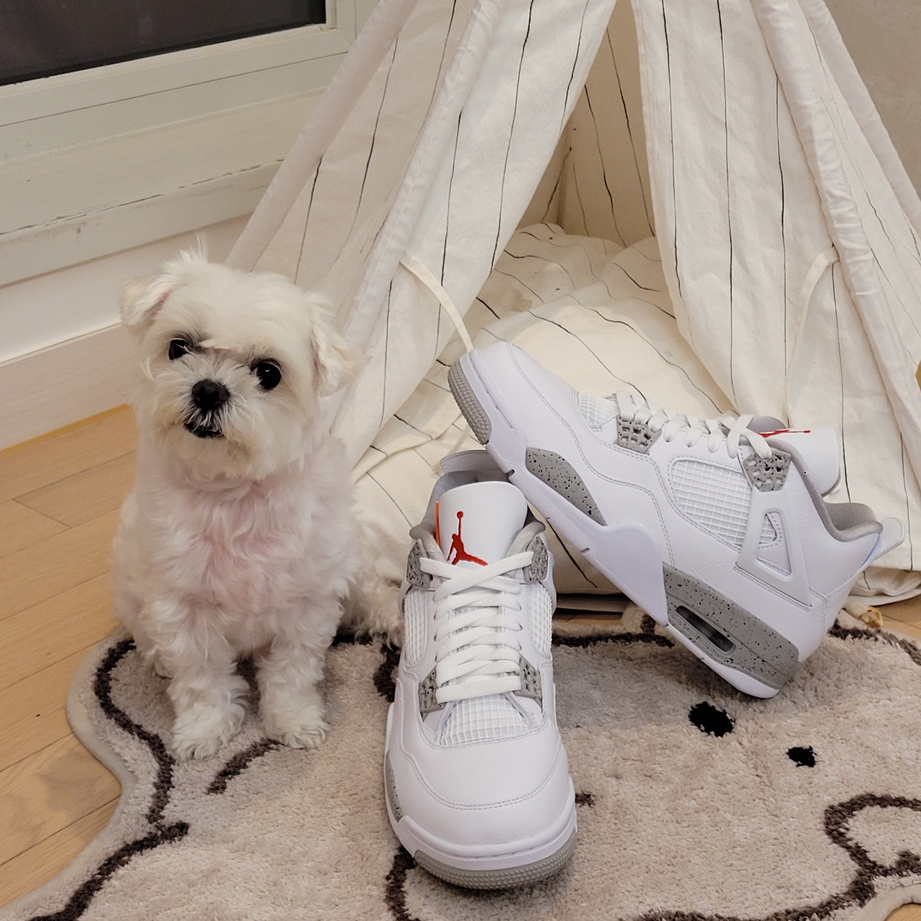 Jordan 4 Retro Tech White 착용 스타일 - 1