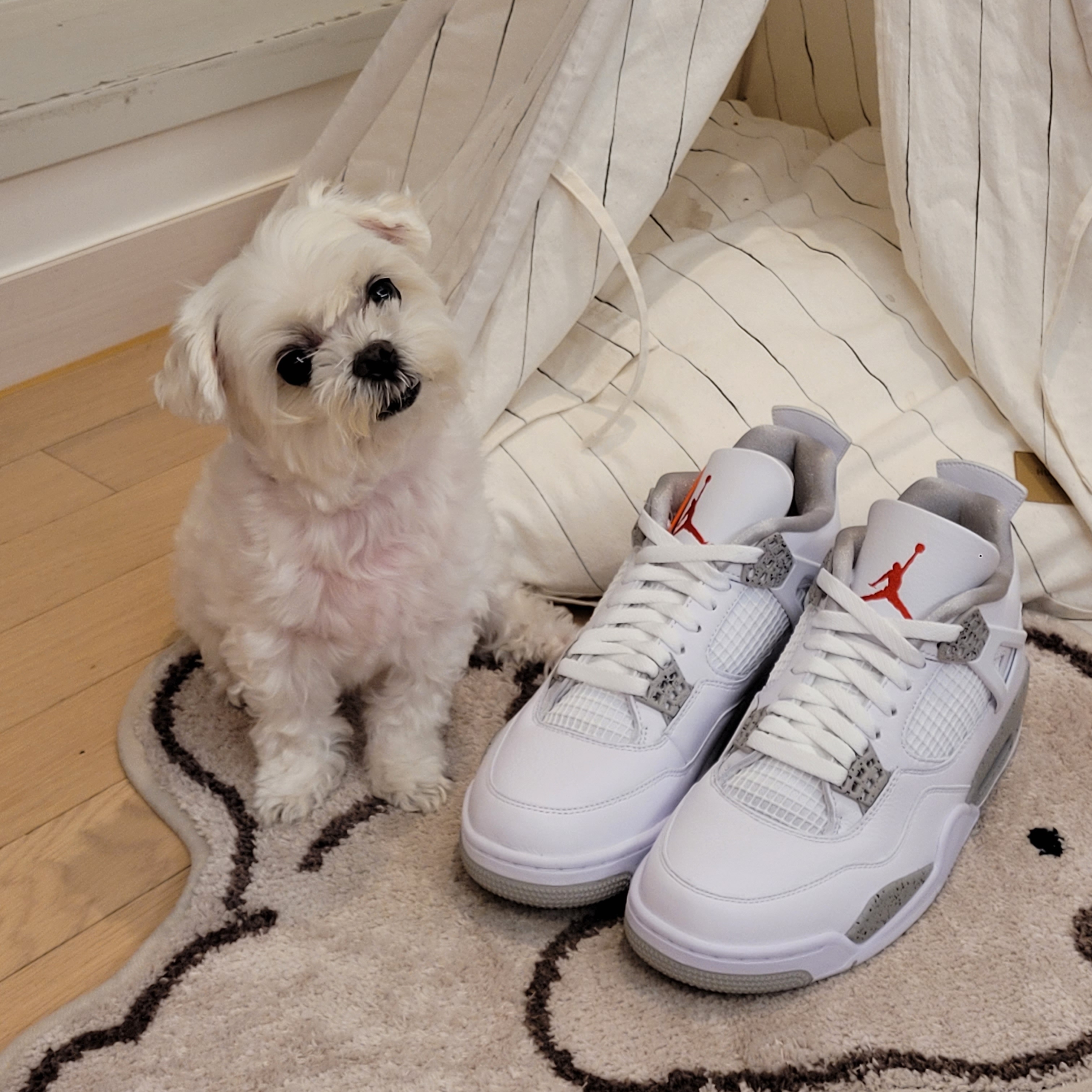 Jordan 4 Retro Tech White 착용 스타일 - 2