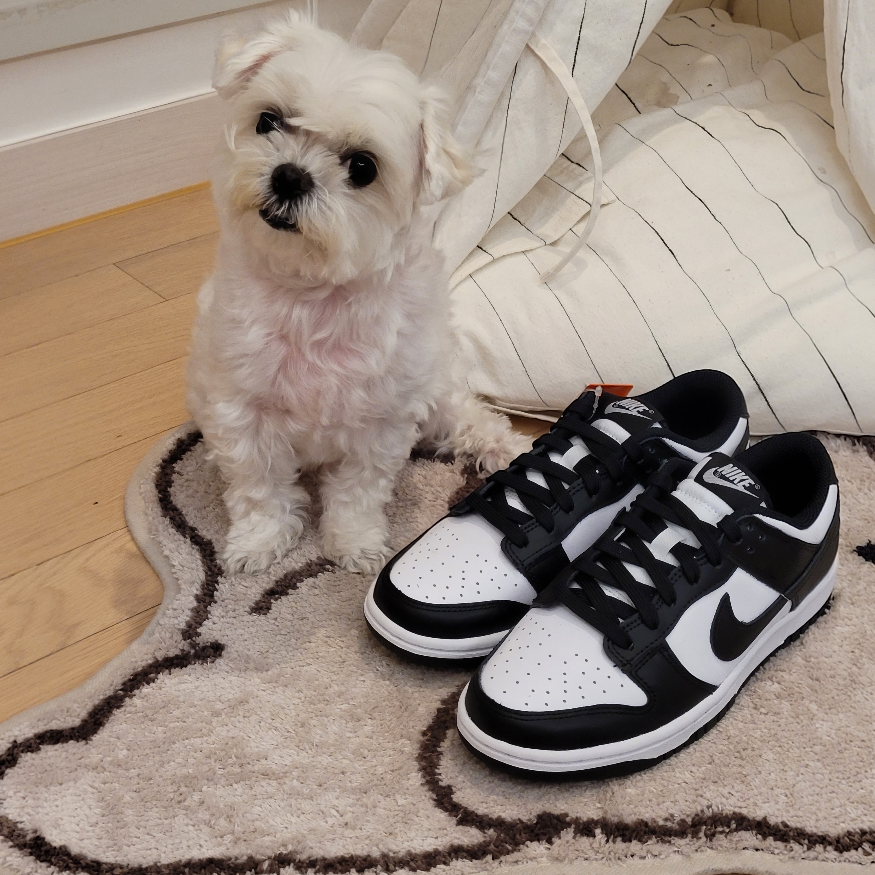 (W) Nike Dunk Low Black 착용 스타일 - 2