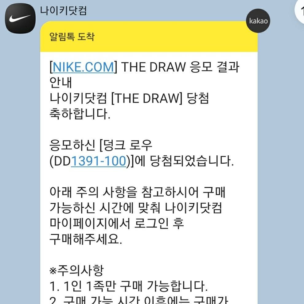 Nike Dunk Low Retro Black 착용 스타일 - 4