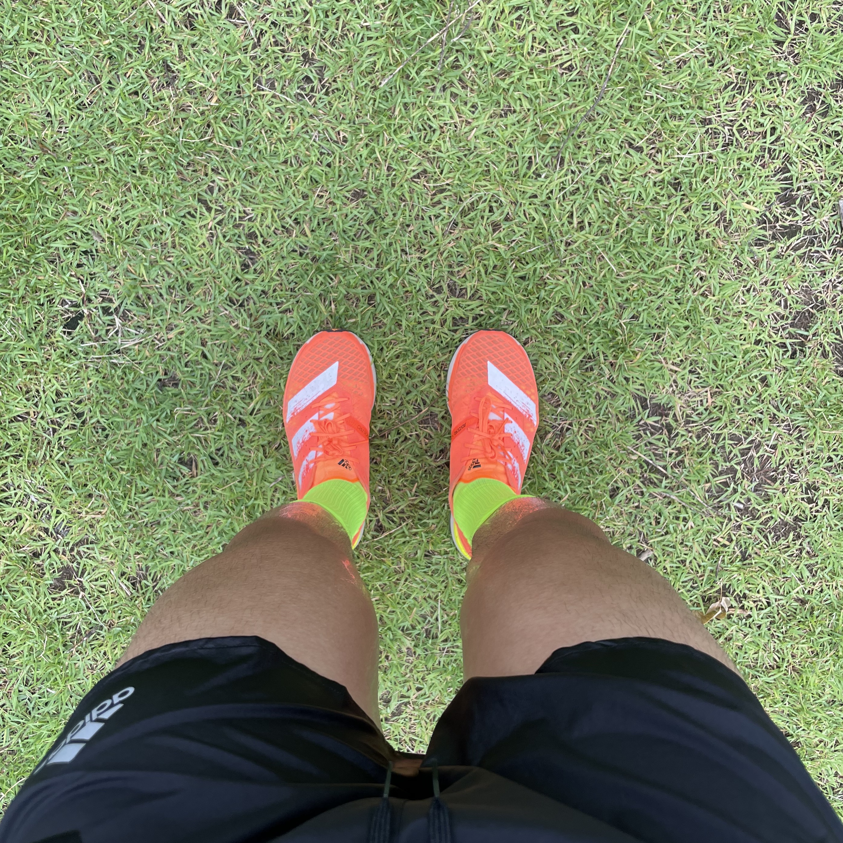 Adidas Adizero Adios Pro Dream Mile 착용 스타일