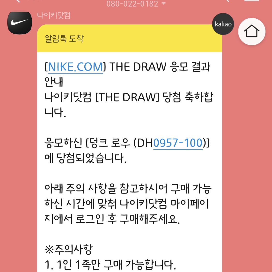 Nike Dunk Low SE Sail Multi Camo 착용 스타일 - 5