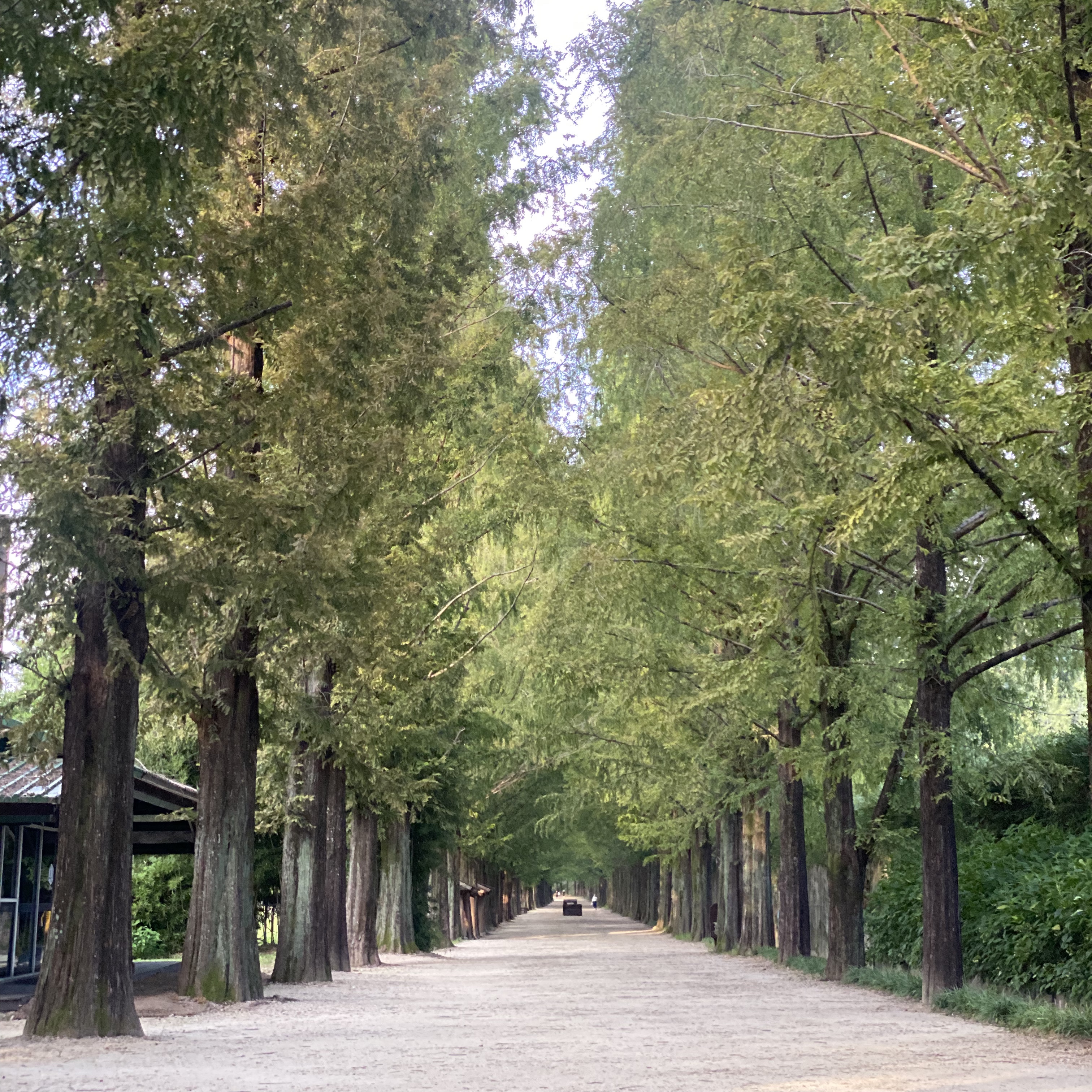 💚디랩쇼룸:또바기님의 스타일 - 4