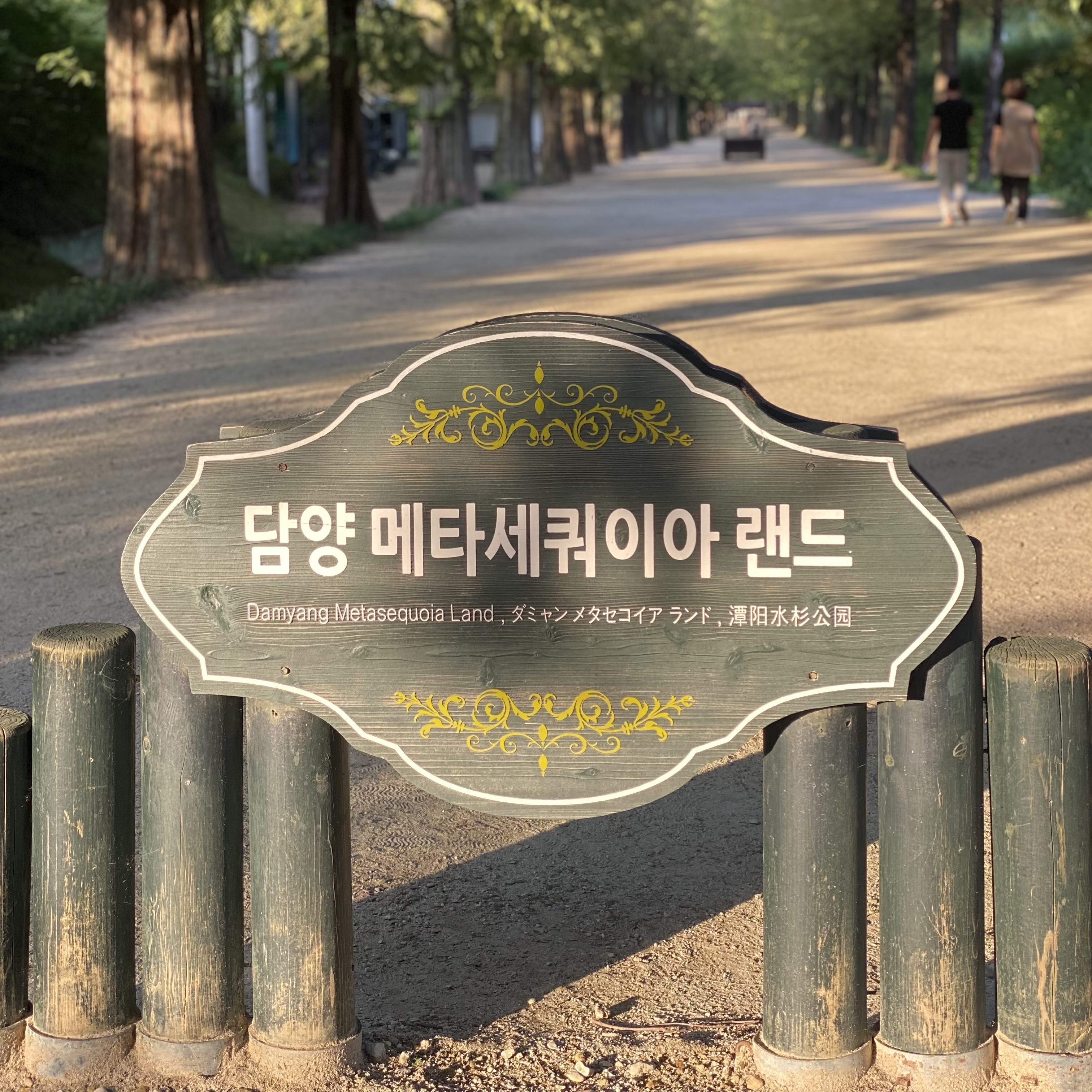 💚디랩쇼룸:또바기님의 스타일 - 5