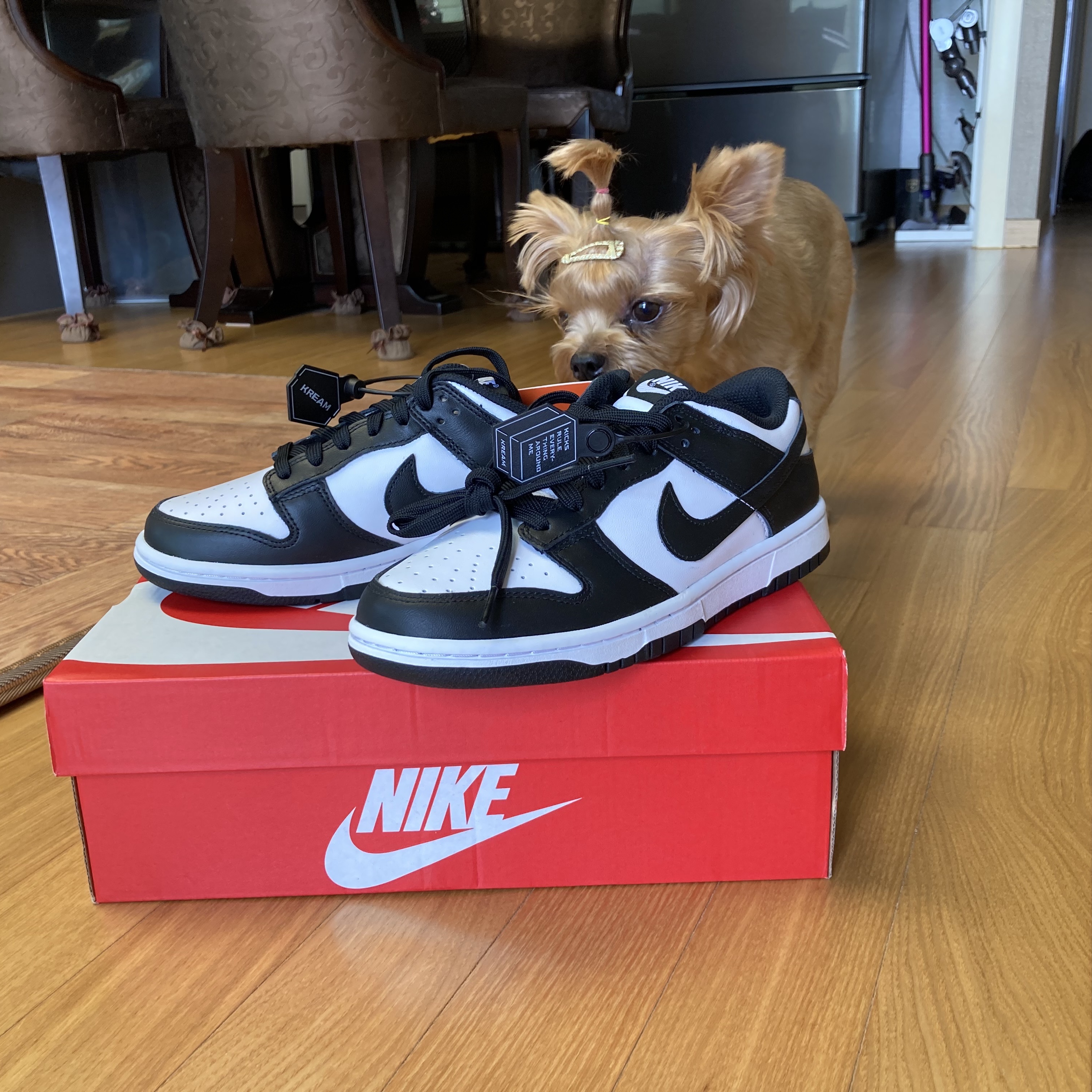 (W) Nike Dunk Low Black 착용 스타일