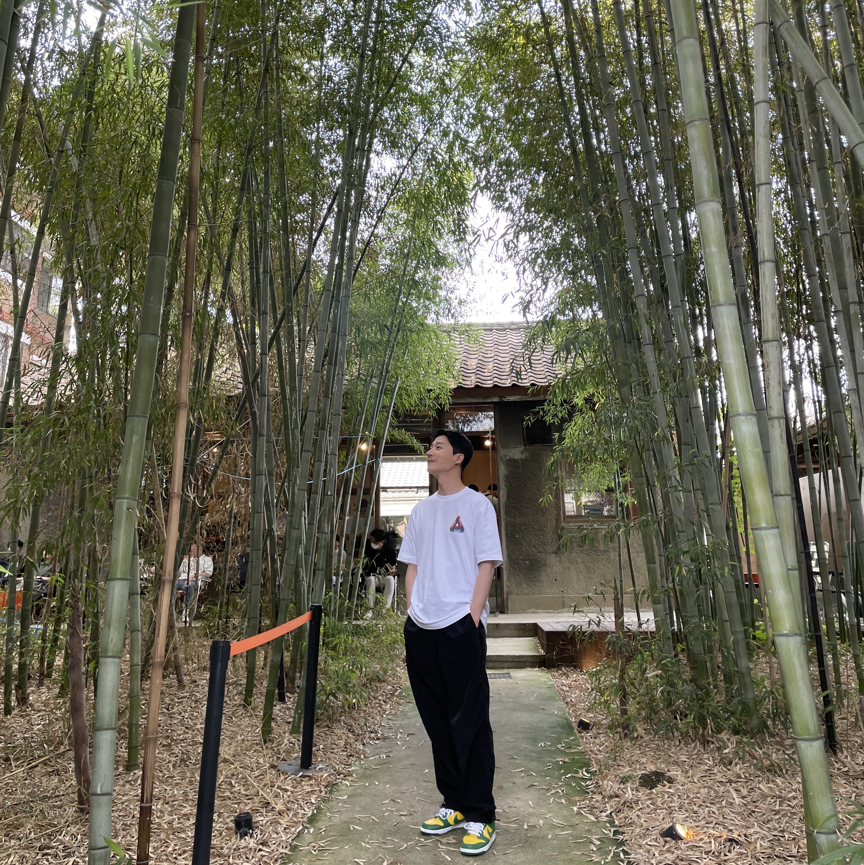 Palace Tri-Ferg Colour Blur T-Shirt White - 20FW, Nike Dunk Low SP Brazil 2020 착용 스타일 - 2