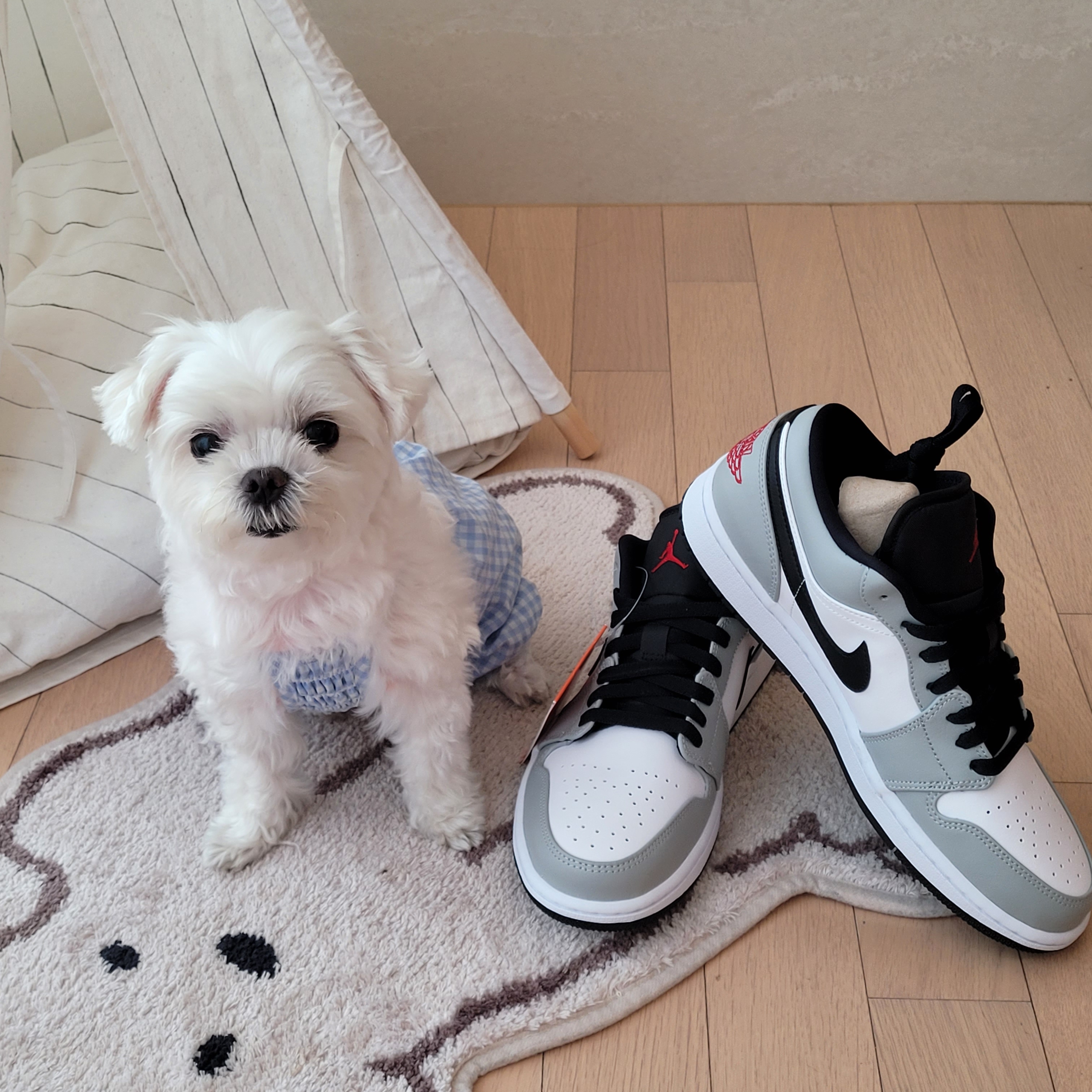 Jordan 1 Low Light Smoke Grey 착용 스타일 - 1