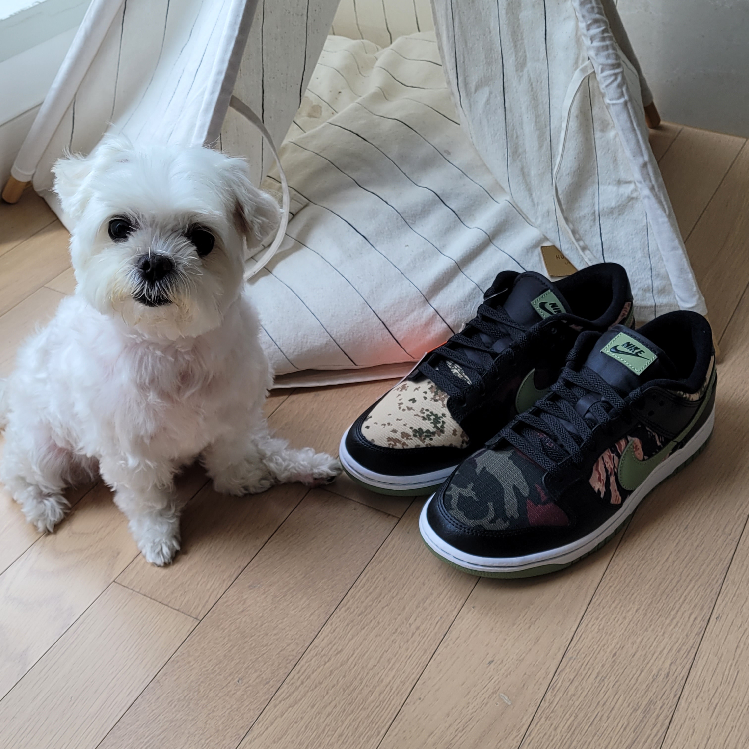 Nike Dunk Low SE Black Multi Camo 착용 스타일 - 2