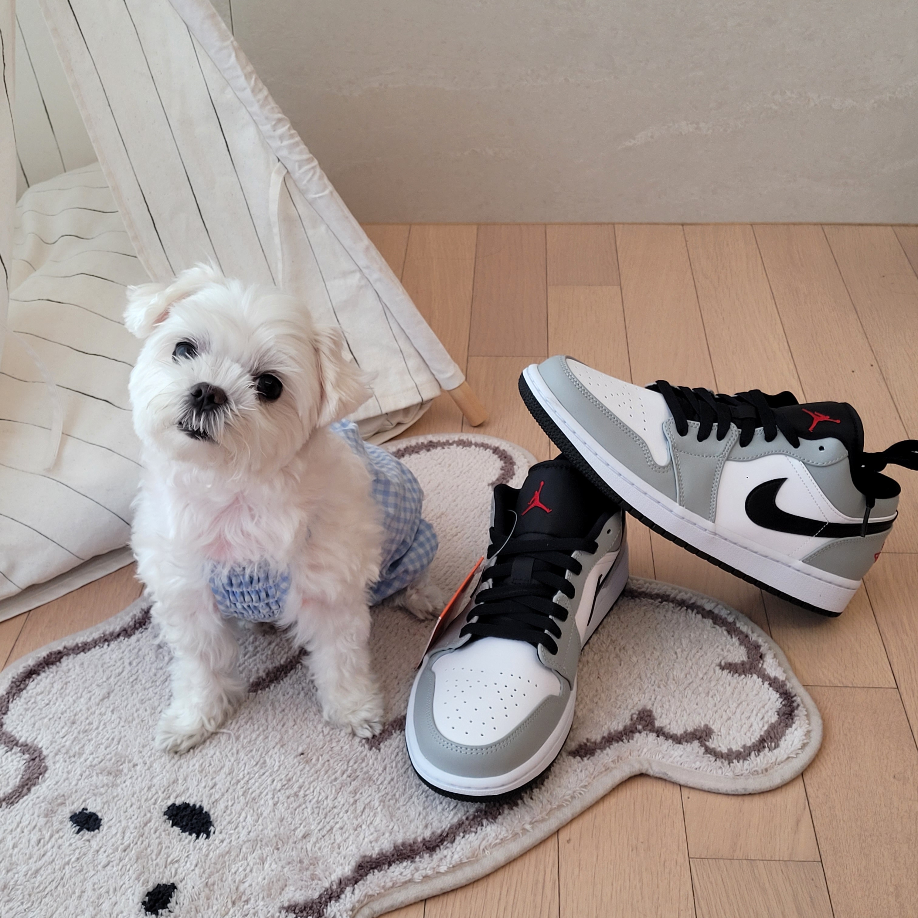 Jordan 1 Low Light Smoke Grey 착용 스타일 - 4