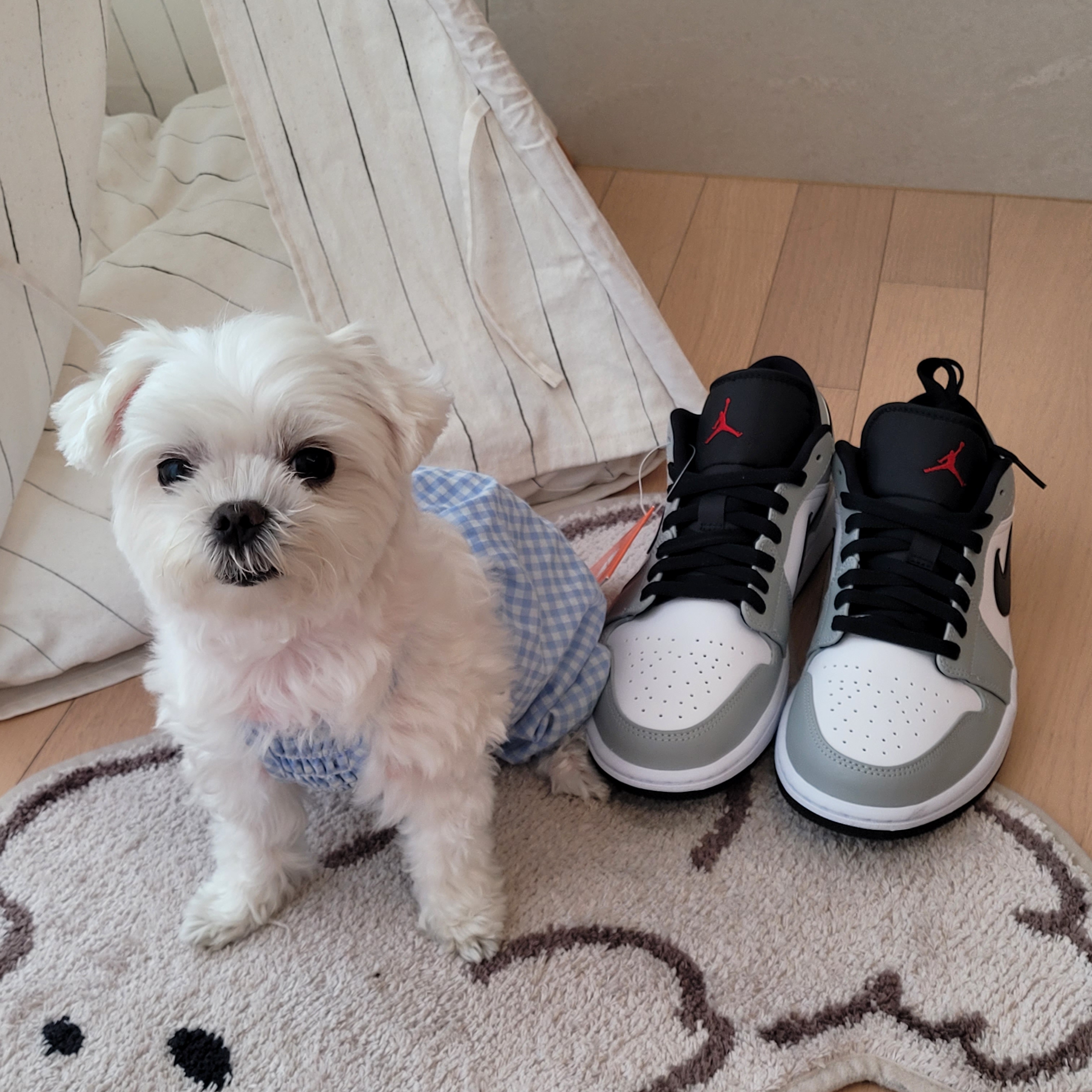 Jordan 1 Low Light Smoke Grey 착용 스타일 - 2