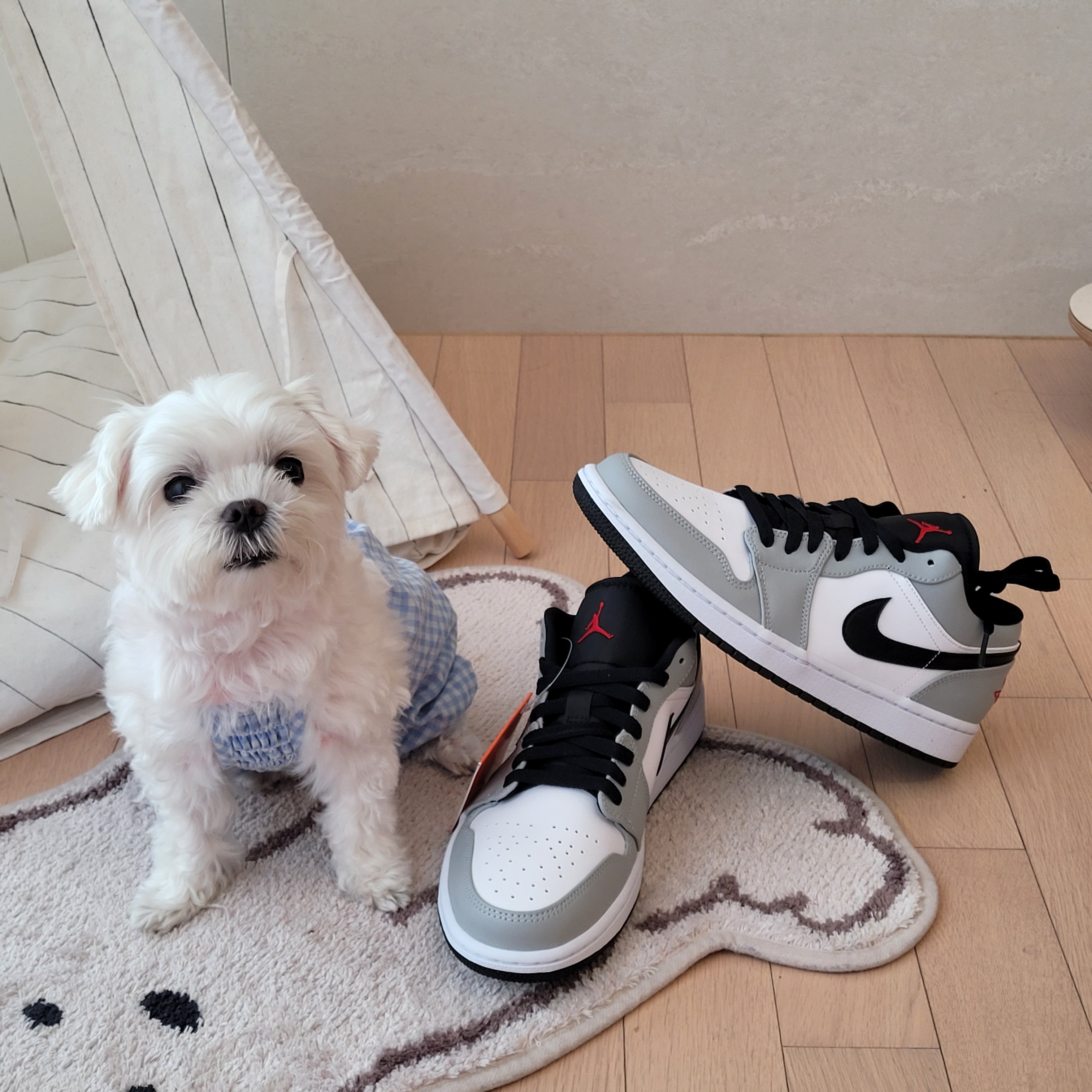 Jordan 1 Low Light Smoke Grey 착용 스타일 - 3