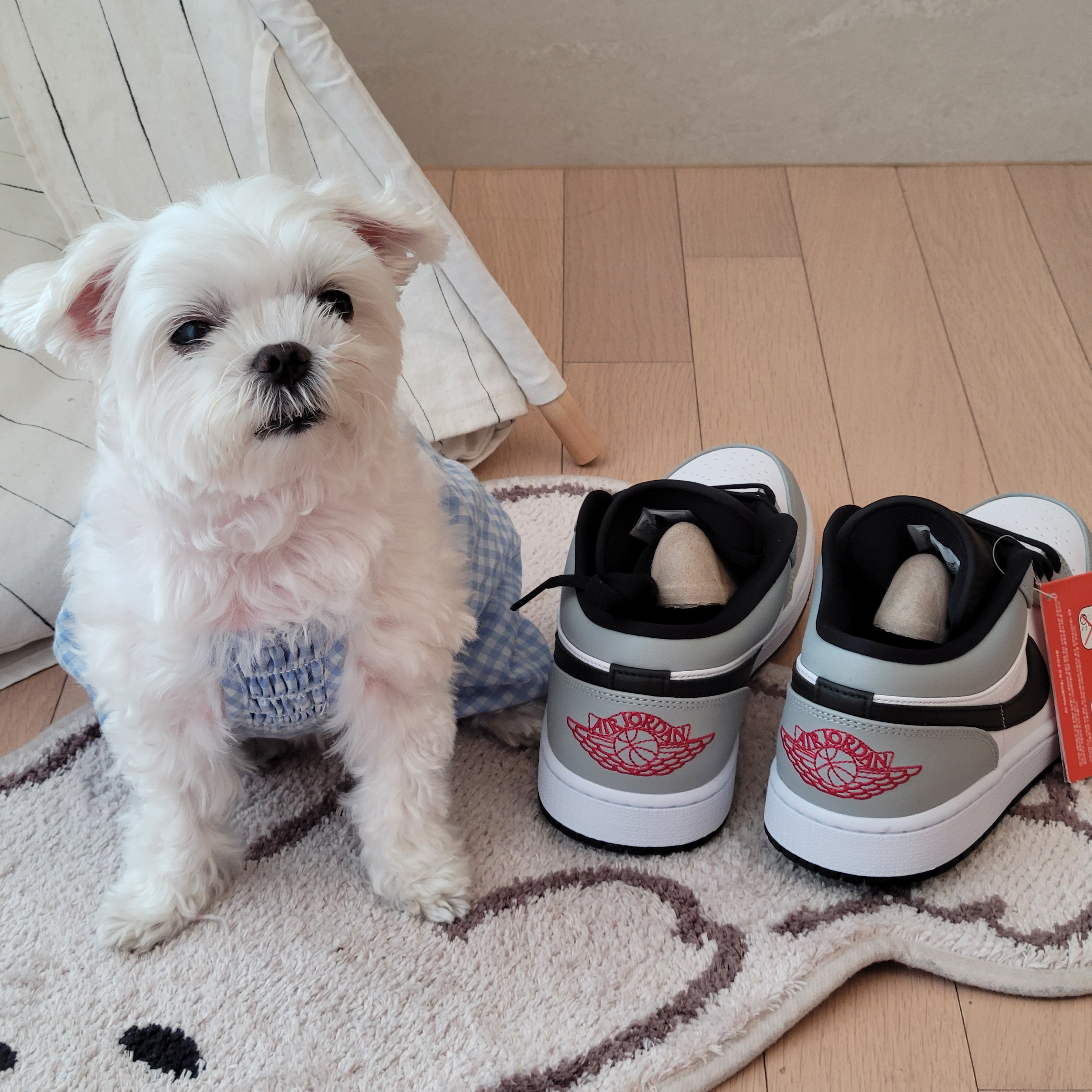 Jordan 1 Low Light Smoke Grey 착용 스타일 - 5