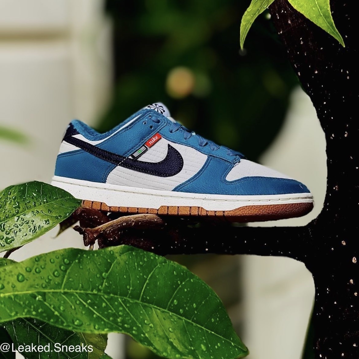 Nike Dunk Low SP Kentucky 2020 착용 스타일 - 2