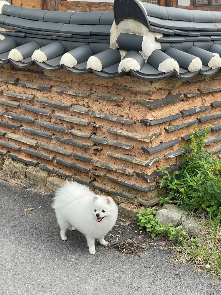 관심 유저 프로필 이미지