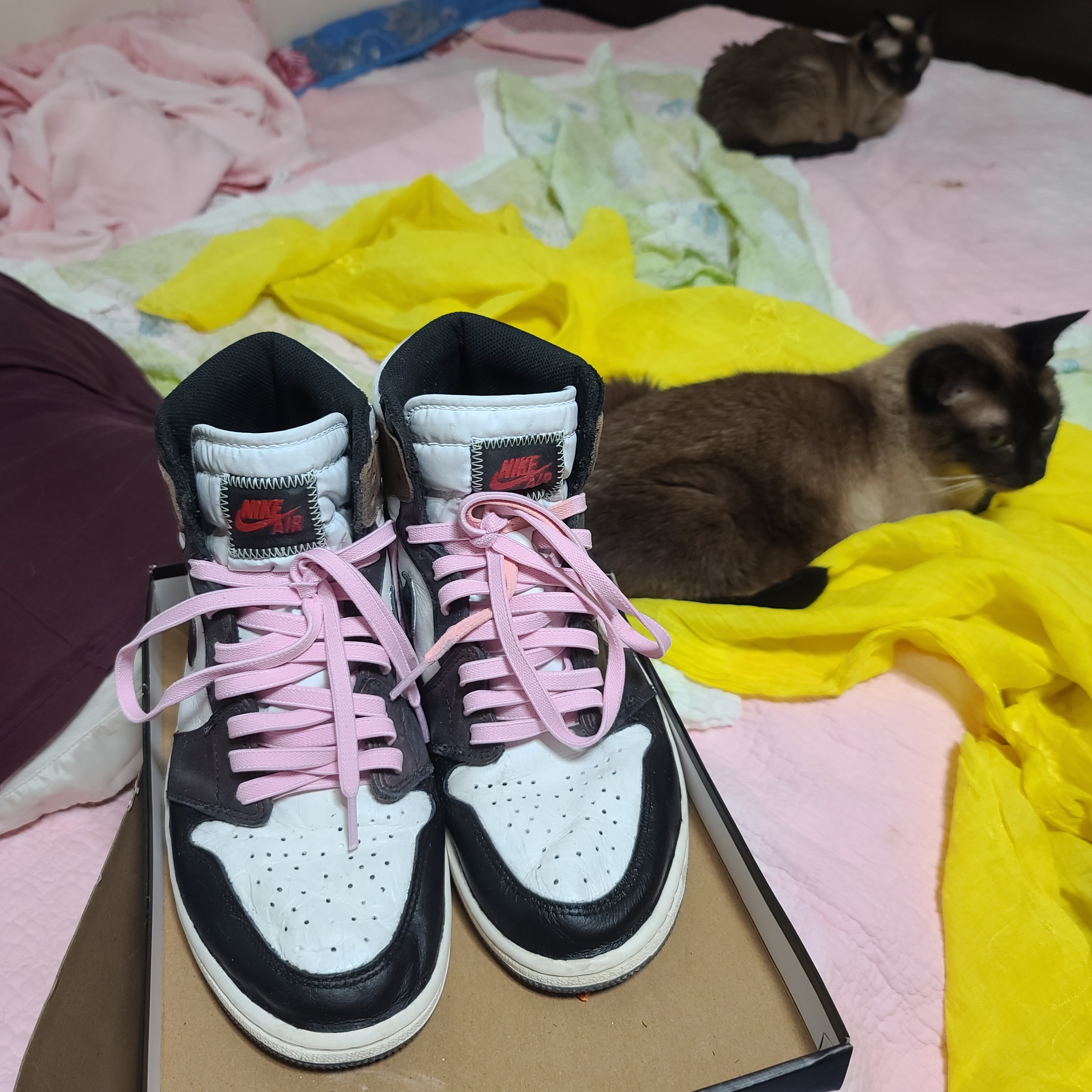 Jordan 1 Retro High OG Rust Shadow 착용 스타일 - 2