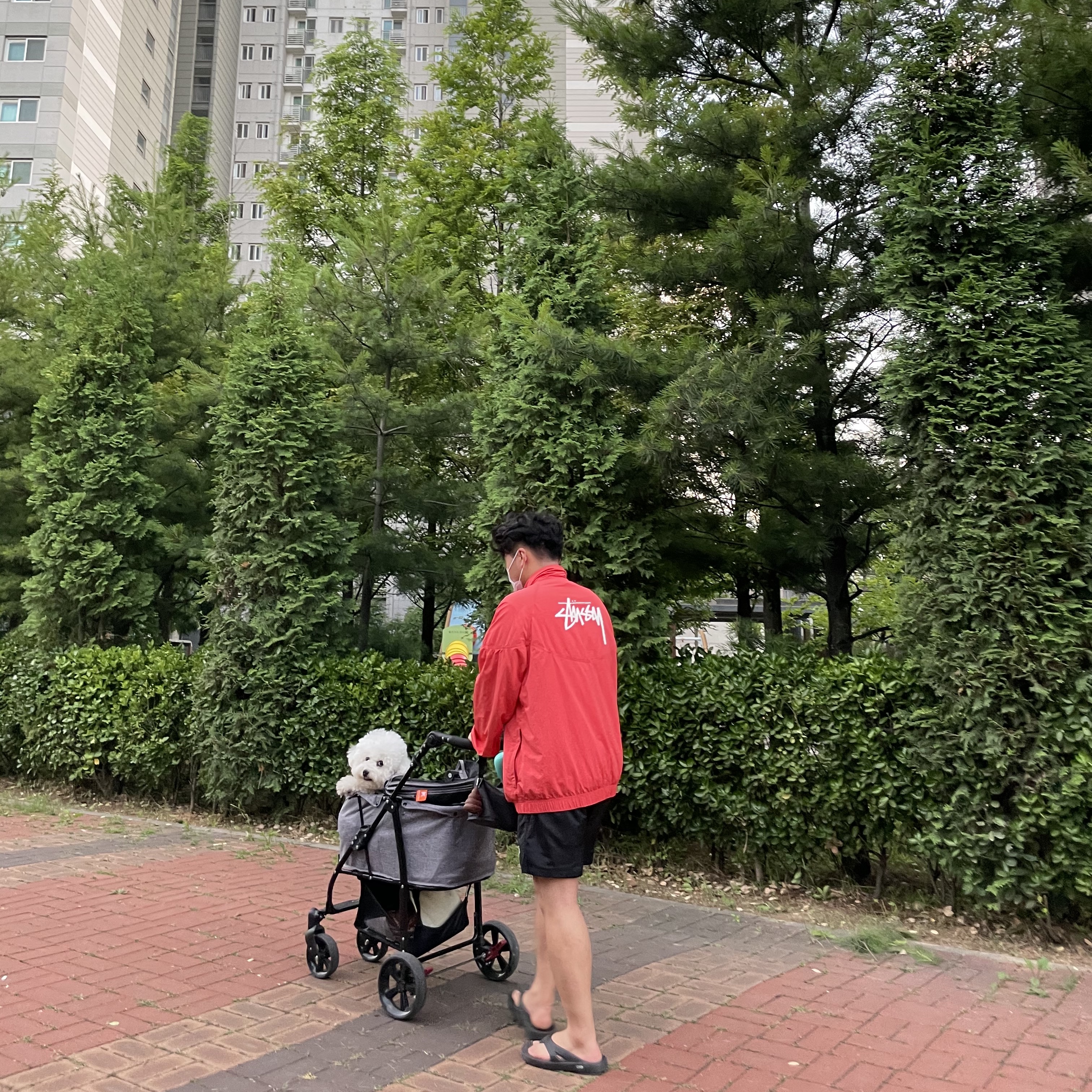 Oofos OOriginal Black, Nike x Stussy Windrunner Jacket Habanero Red 착용 스타일