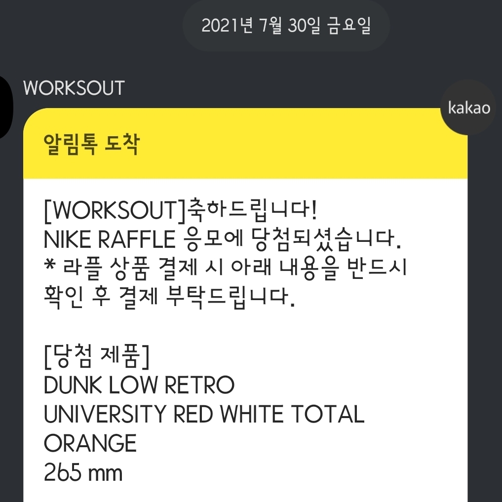 Nike Dunk Low Retro Championship Red 착용 스타일
