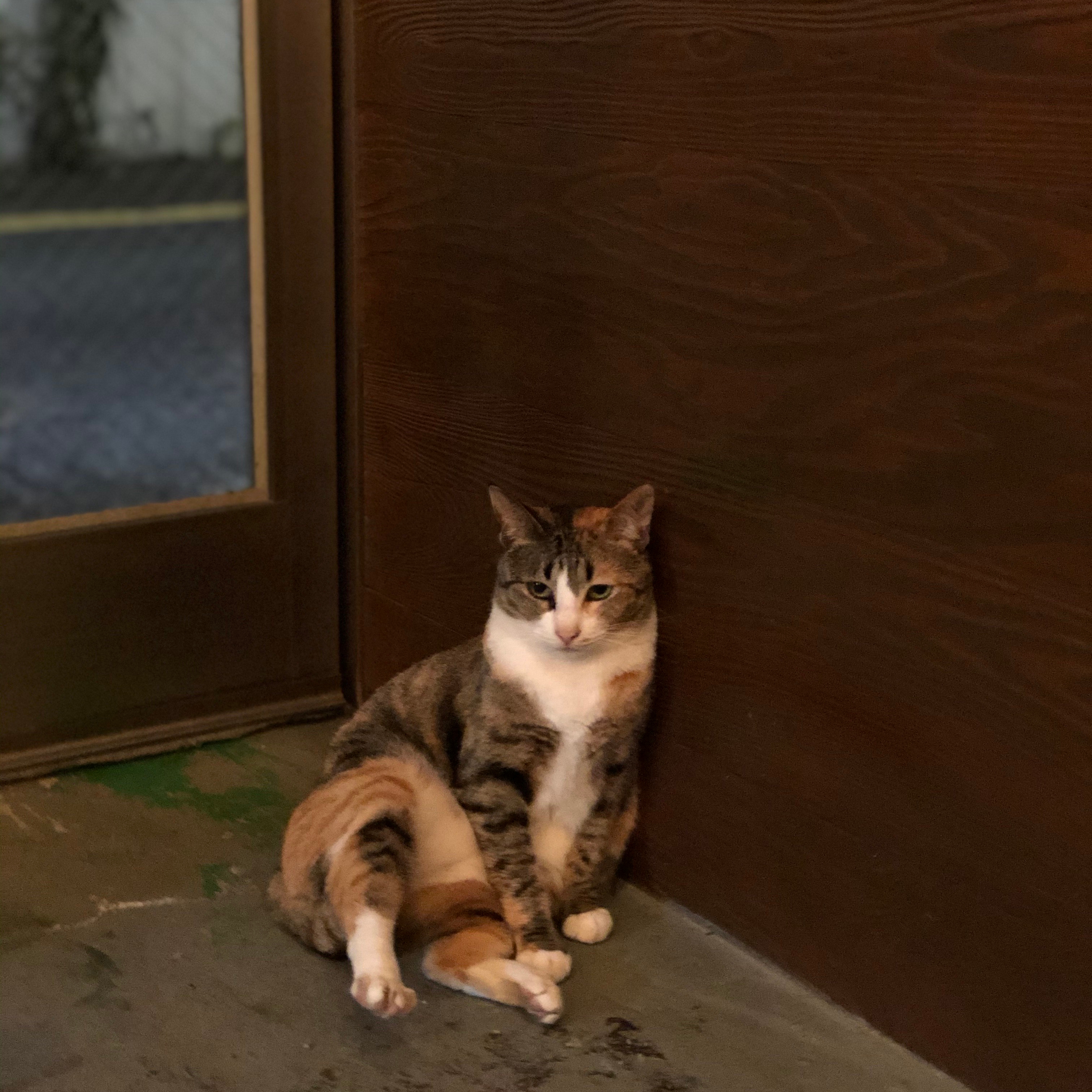 박기명님의 스타일