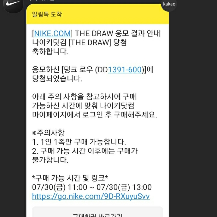 Nike Dunk Low Retro Championship Red 착용 스타일