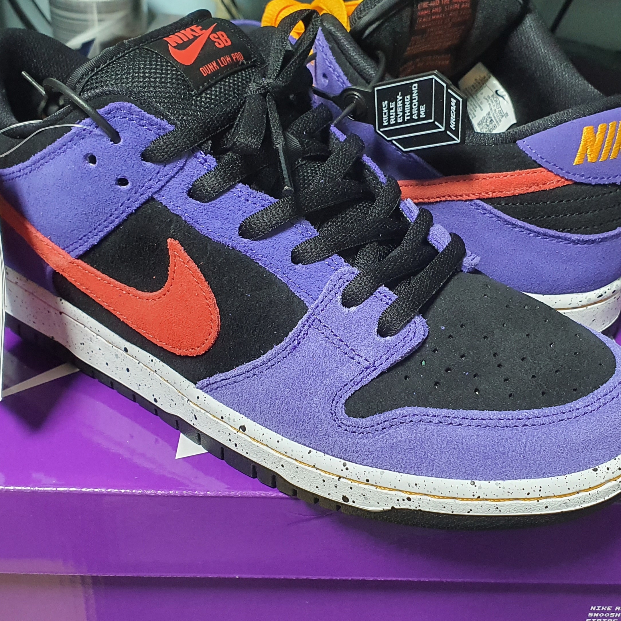 Nike SB Dunk Low Pro Trail 착용 스타일