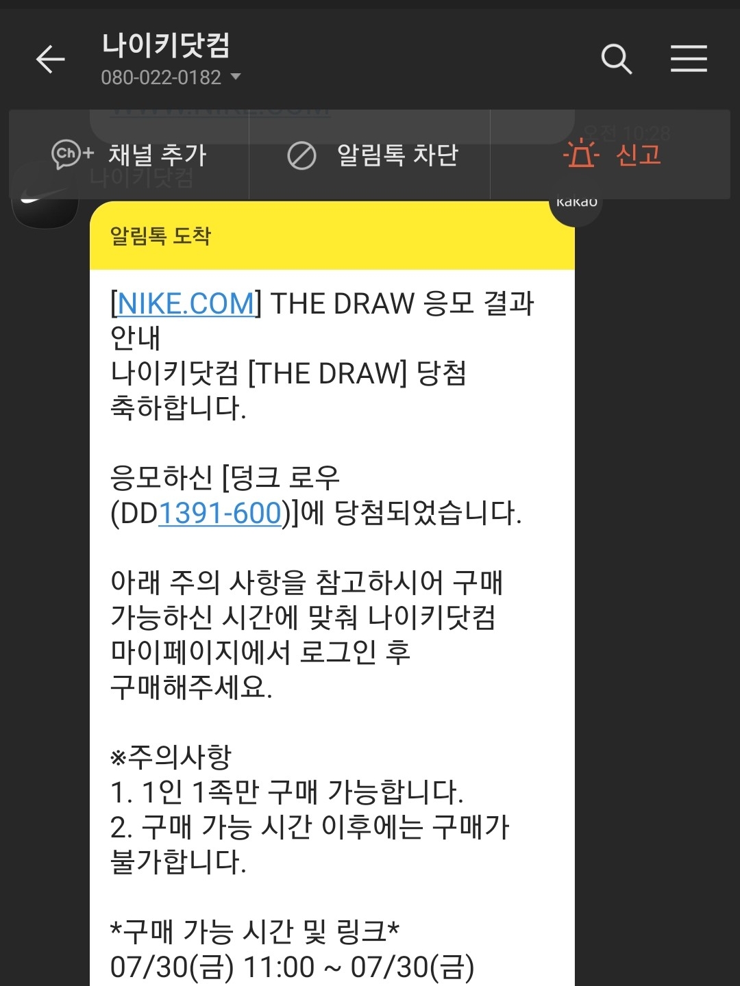 Nike Dunk Low Retro Championship Red 착용 스타일