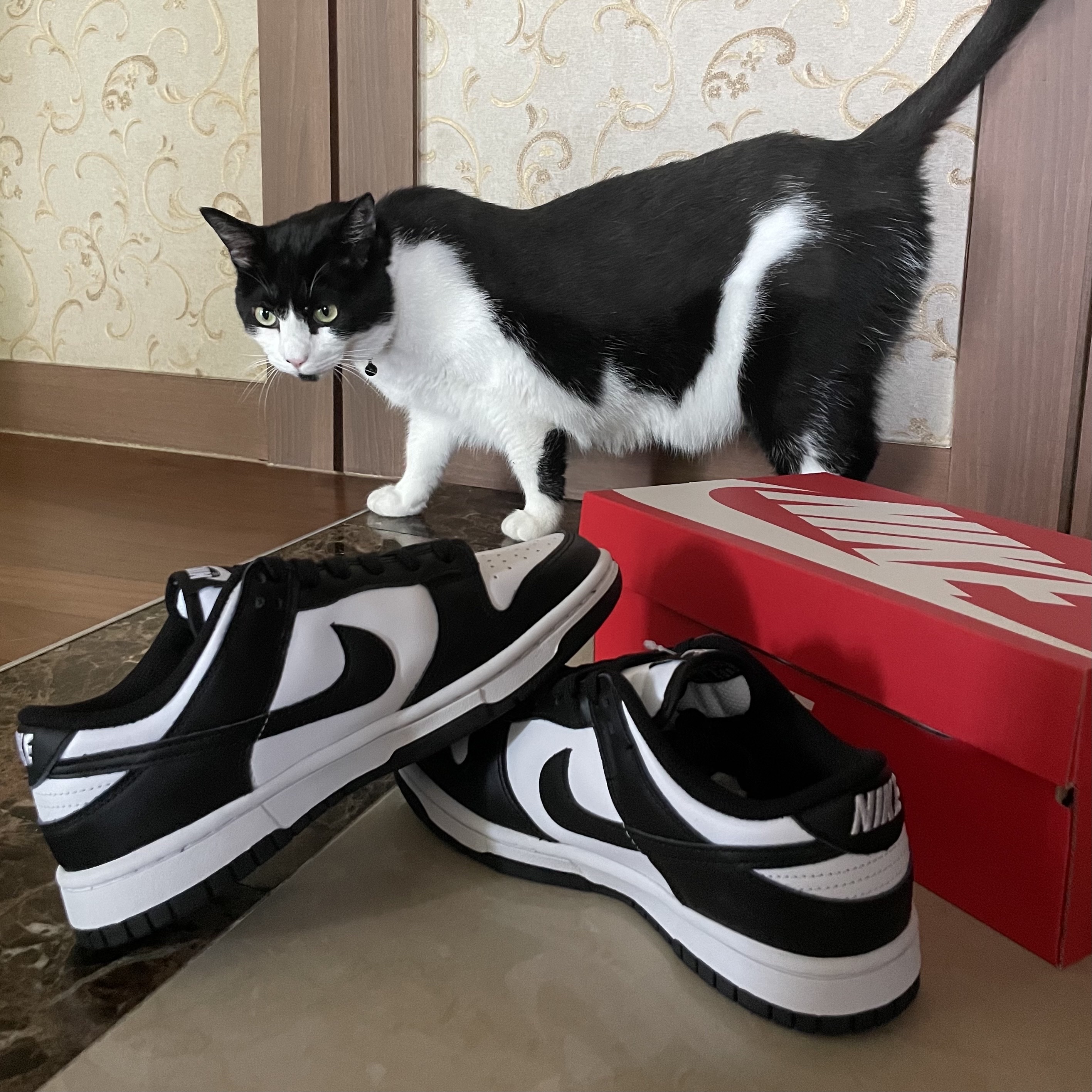 (W) Nike Dunk Low Black 착용 스타일 - 3