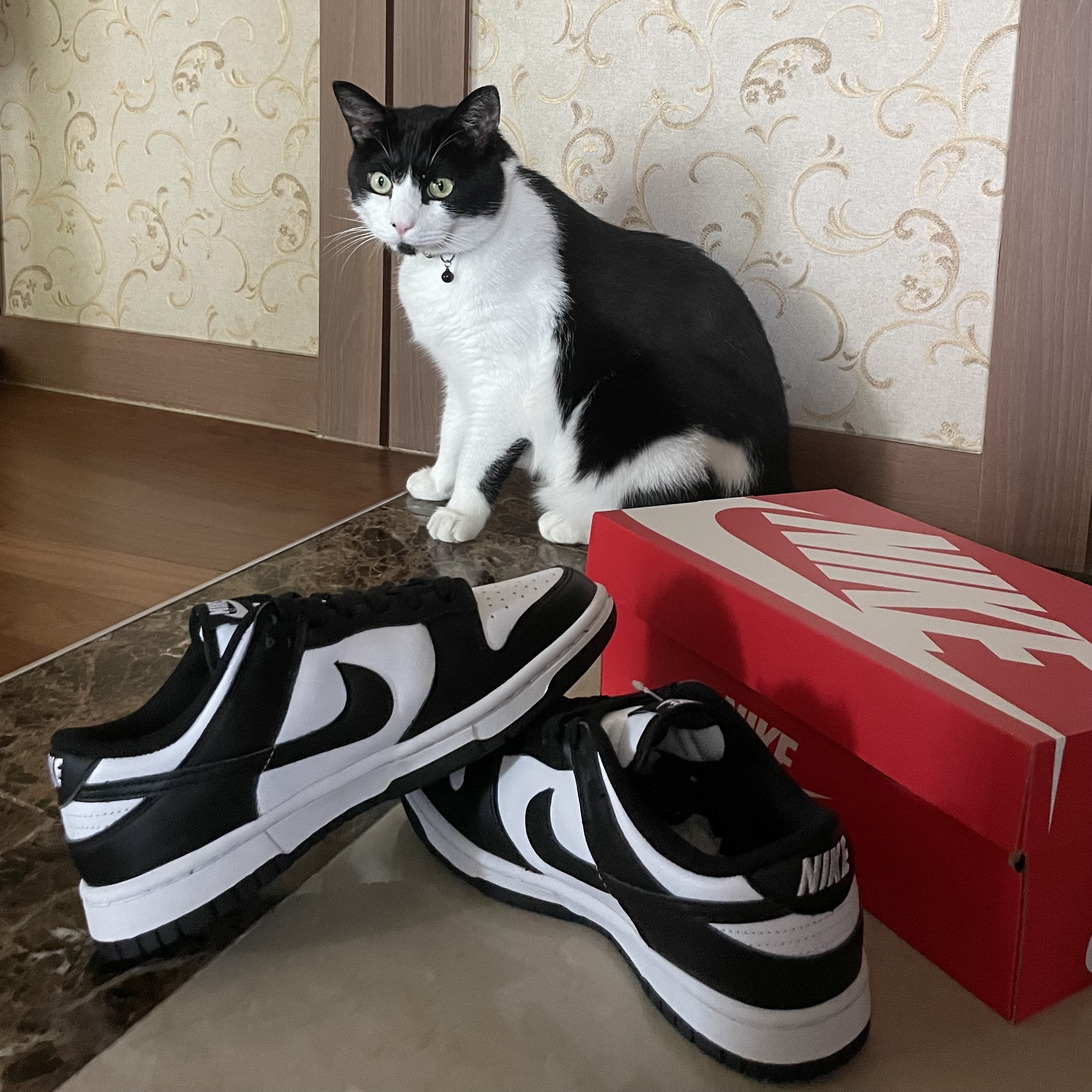 (W) Nike Dunk Low Black 착용 스타일 - 2