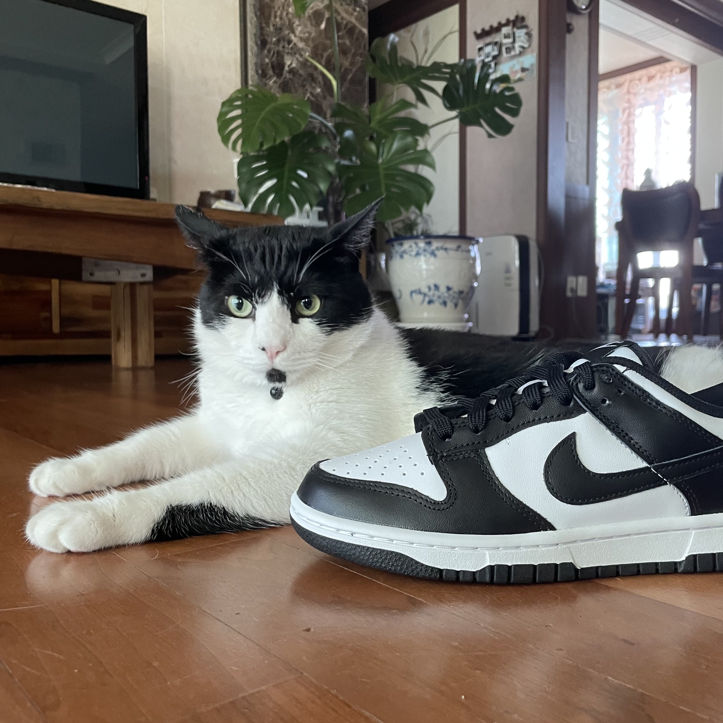 (W) Nike Dunk Low Black 착용 스타일 - 4