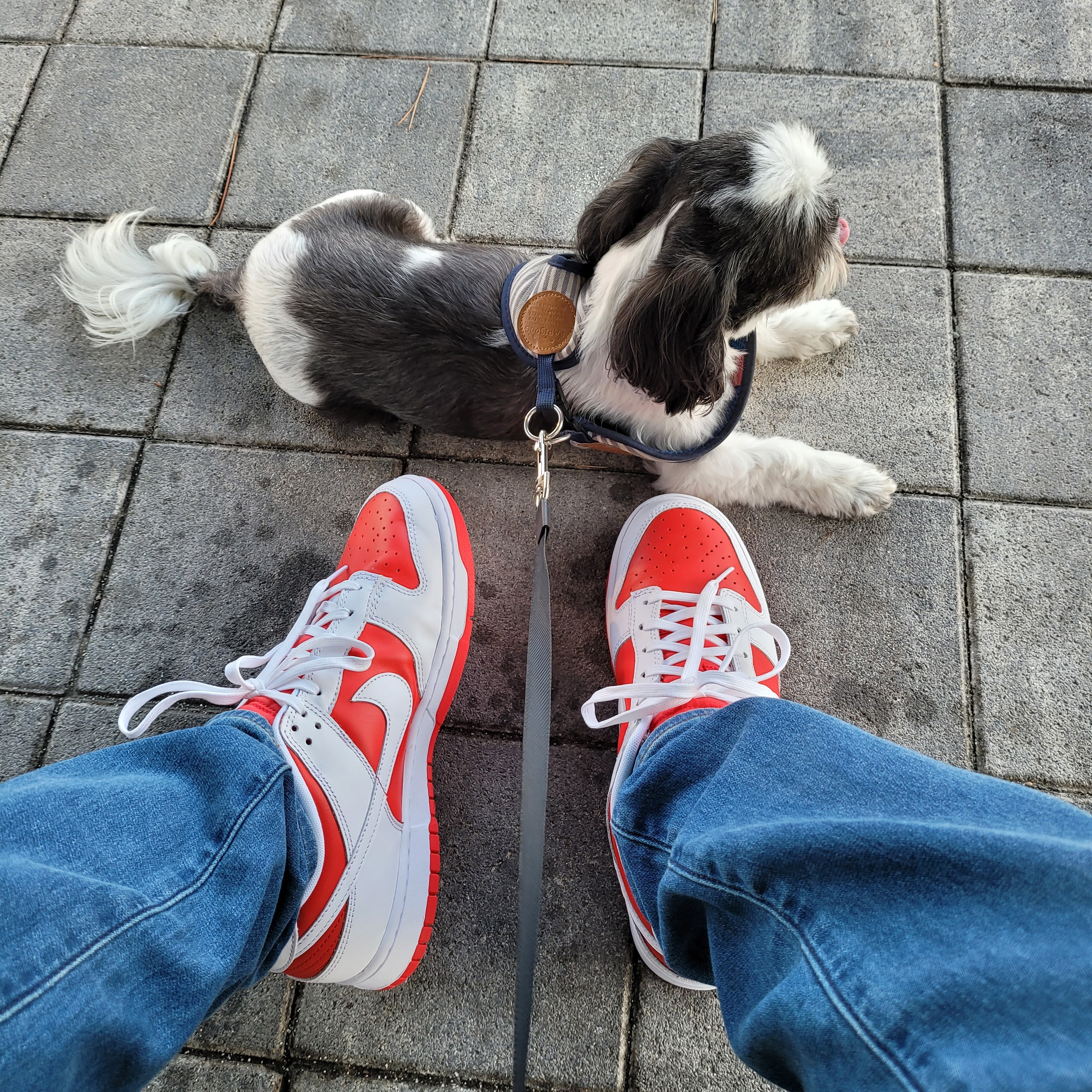 Nike Dunk Low Retro Championship Red 착용 스타일