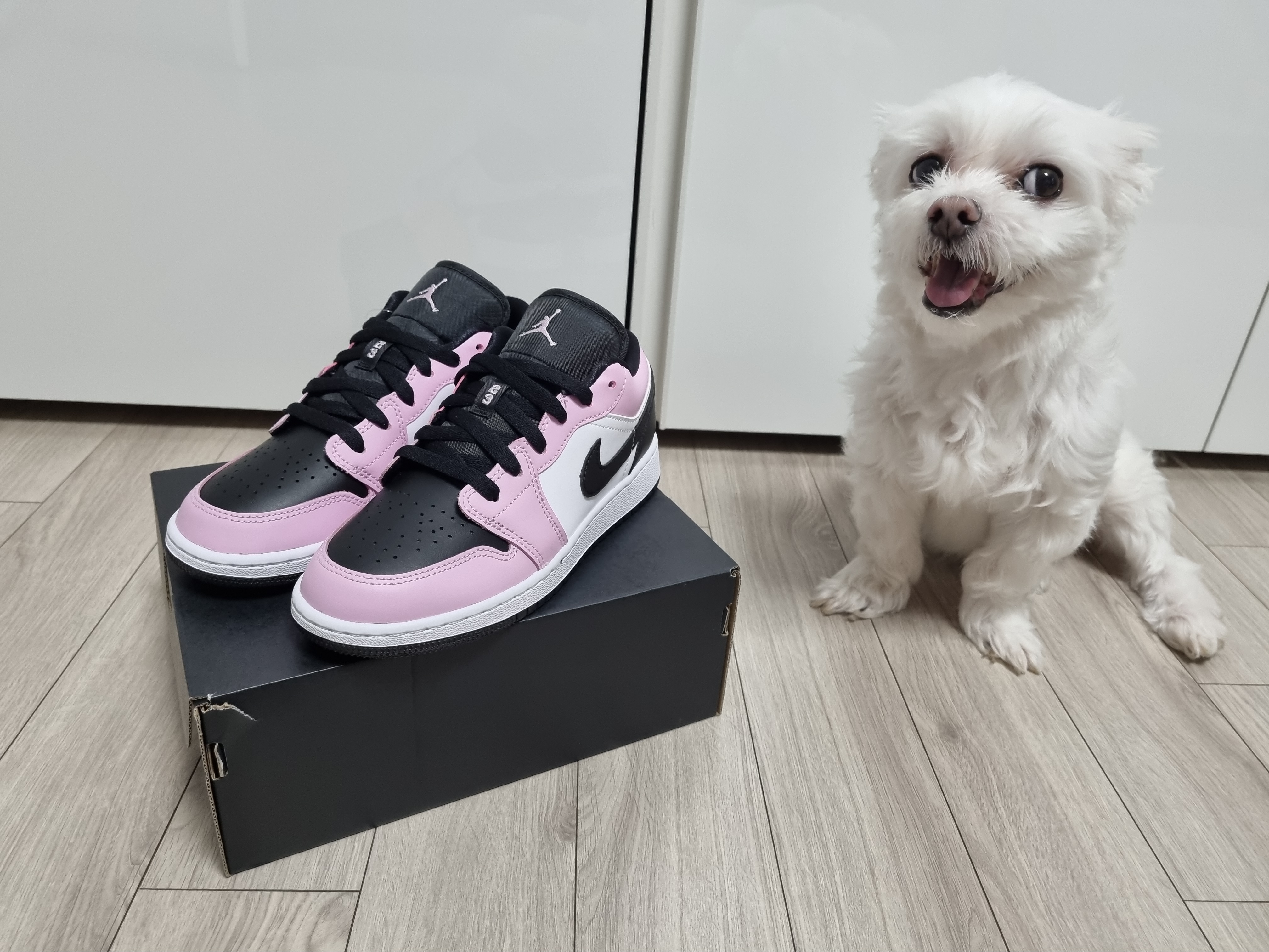(GS) Jordan 1 Low Light Arctic Pink 착용 스타일