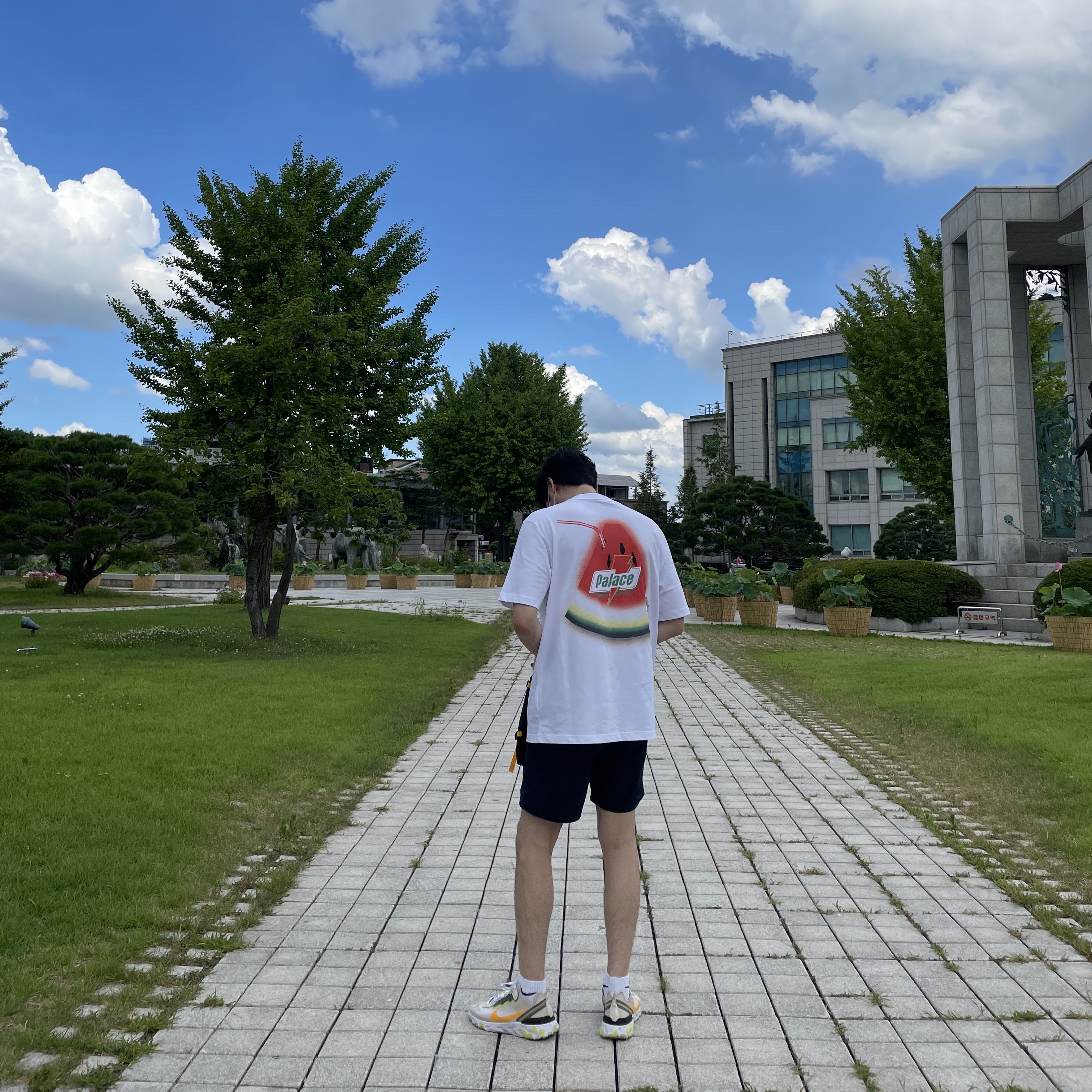 Palace Sugar T-Shirt Grey Marl - 21SS, Nike React Element 87 Light Orewood Brown 착용 스타일