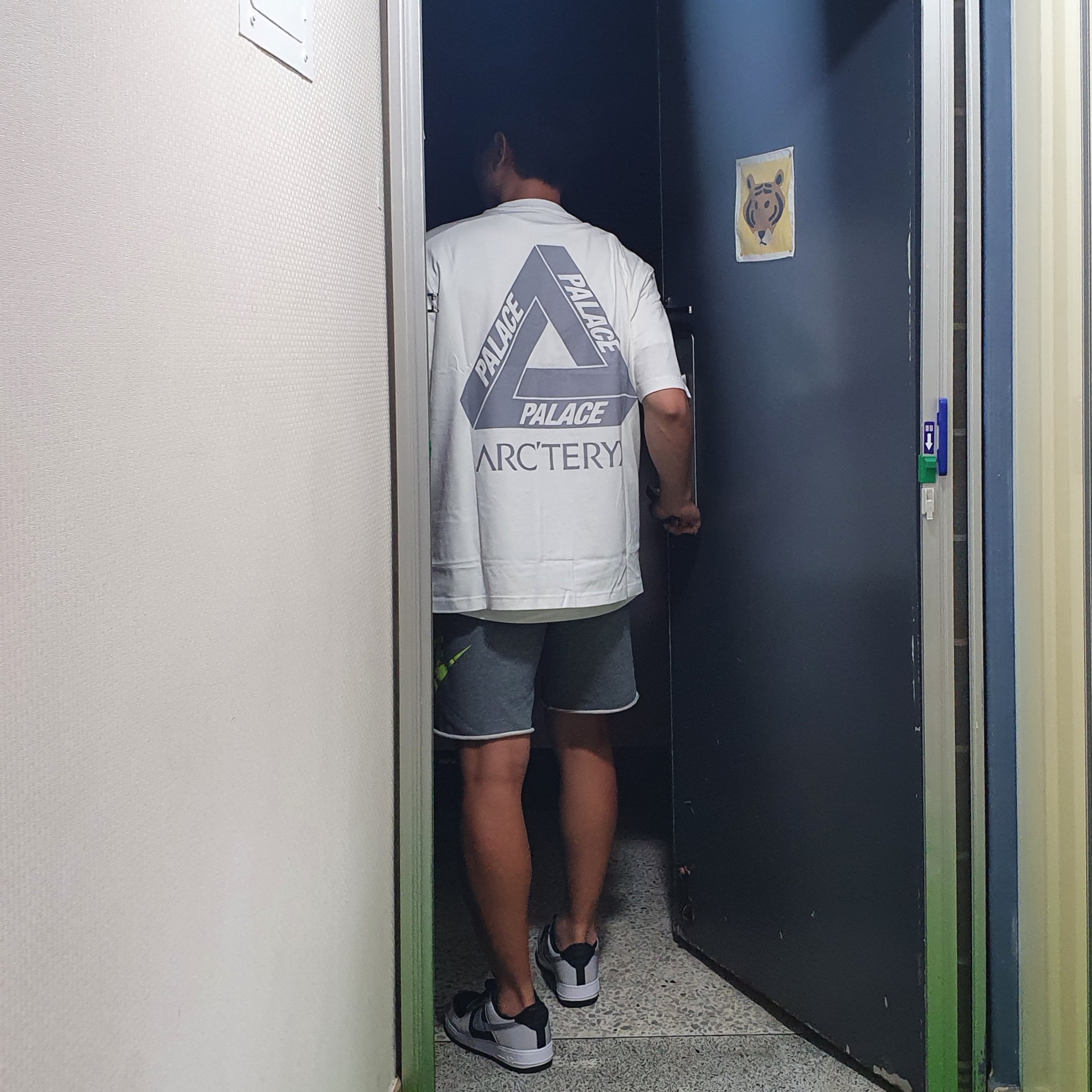 Palace x Arc'teryx T-Shirt White - 20FW, Nike Air Force 1 B Silver Snake 착용 스타일 - 1