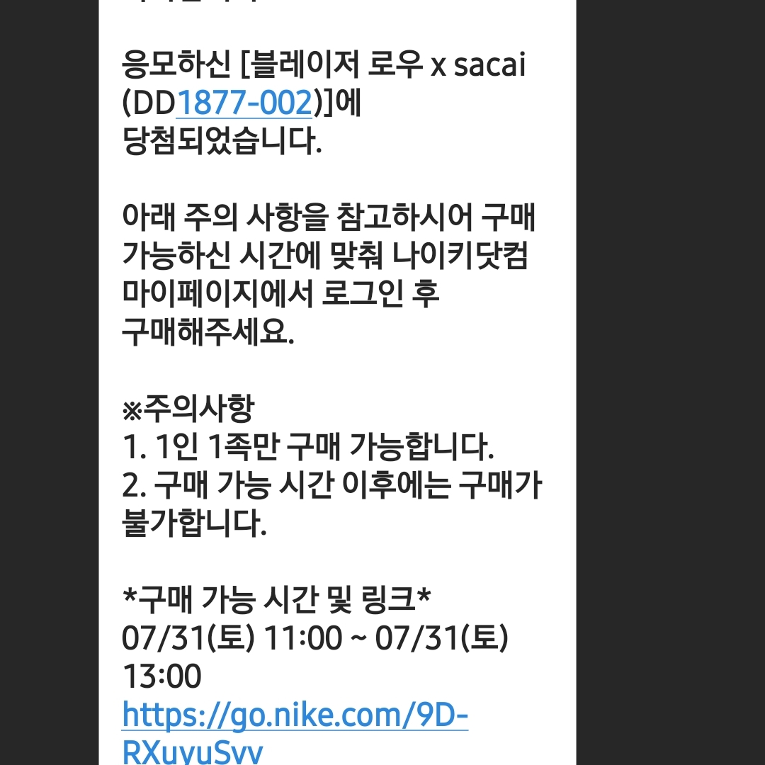 Nike x Sacai Blazer Low Iron Grey 착용 스타일