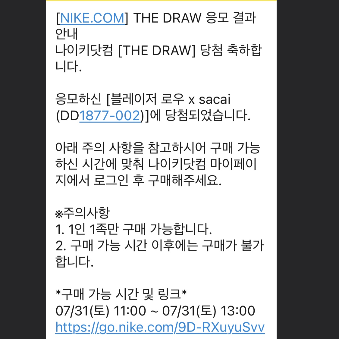 Nike x Sacai Blazer Low Iron Grey 착용 스타일