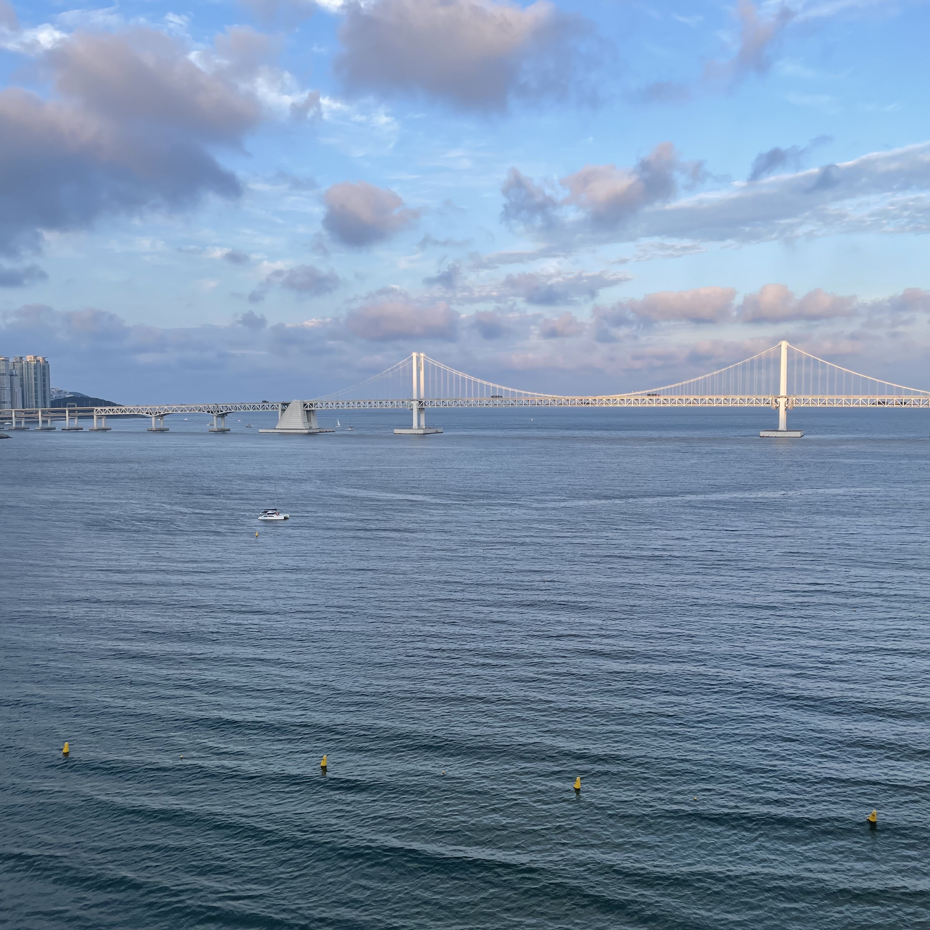 Nike x Sacai VaporWaffle Dark Iris 착용 스타일 - 2