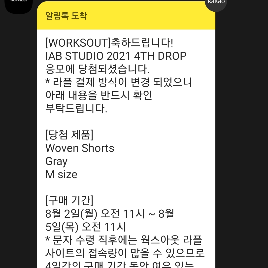 IAB Studio Pigment T-Shirt Blue, IAB Studio Woven Shorts Gray 착용 스타일 - 2