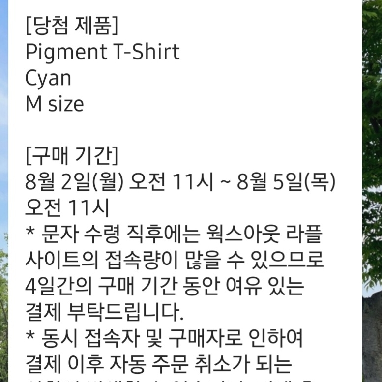 IAB Studio Pigment T-Shirt Cyan 착용 스타일
