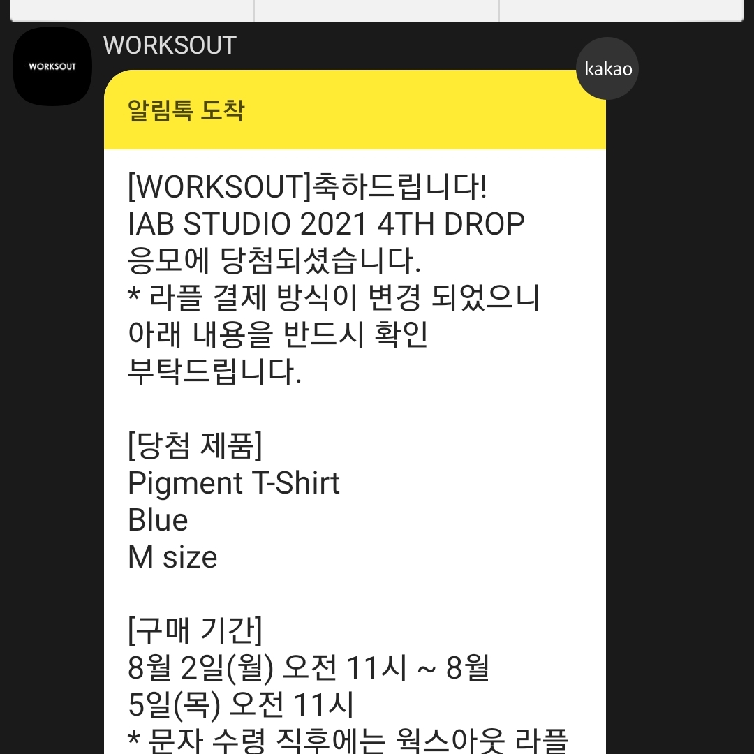 IAB Studio Pigment T-Shirt Blue, IAB Studio Woven Shorts Gray 착용 스타일 - 1