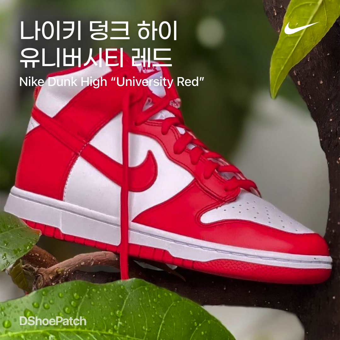 Nike Dunk Low SP University Red 2020 착용 스타일 - 1