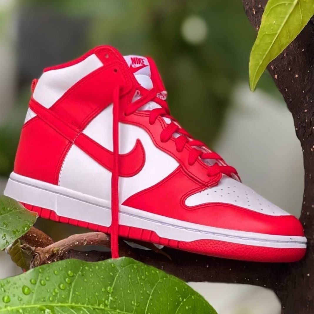 Nike Dunk Low SP University Red 2020 착용 스타일 - 2