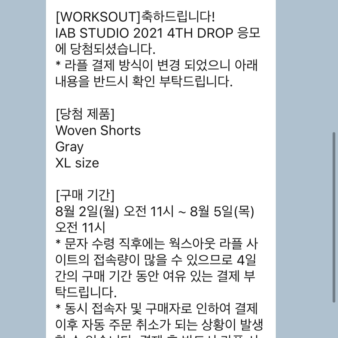 IAB Studio Woven Shorts Gray 착용 스타일