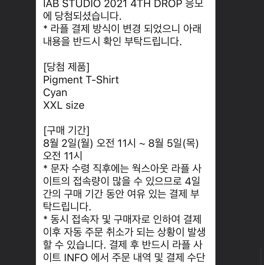 IAB Studio Pigment T-Shirt Cyan 착용 스타일