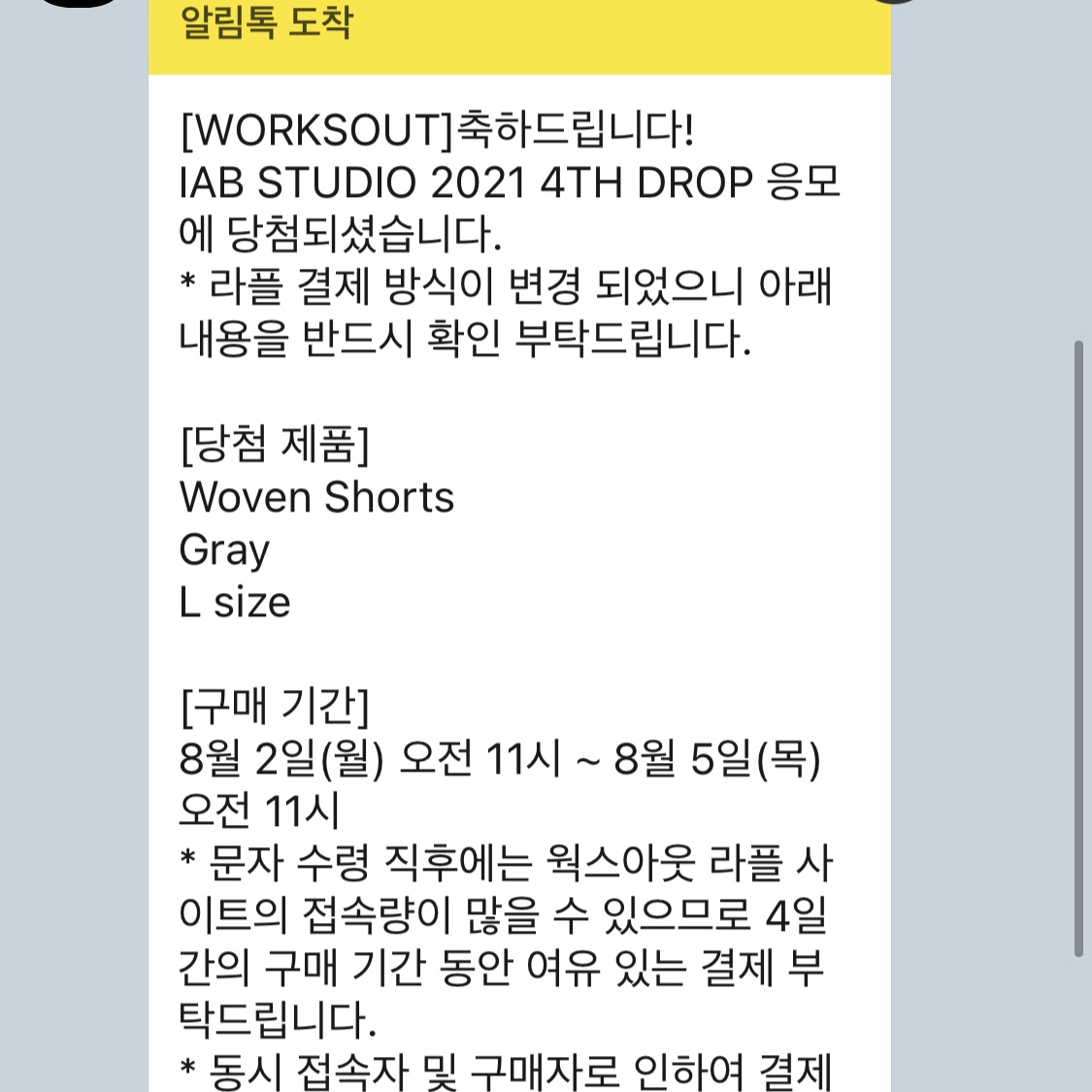 IAB Studio Woven Shorts Gray 착용 스타일