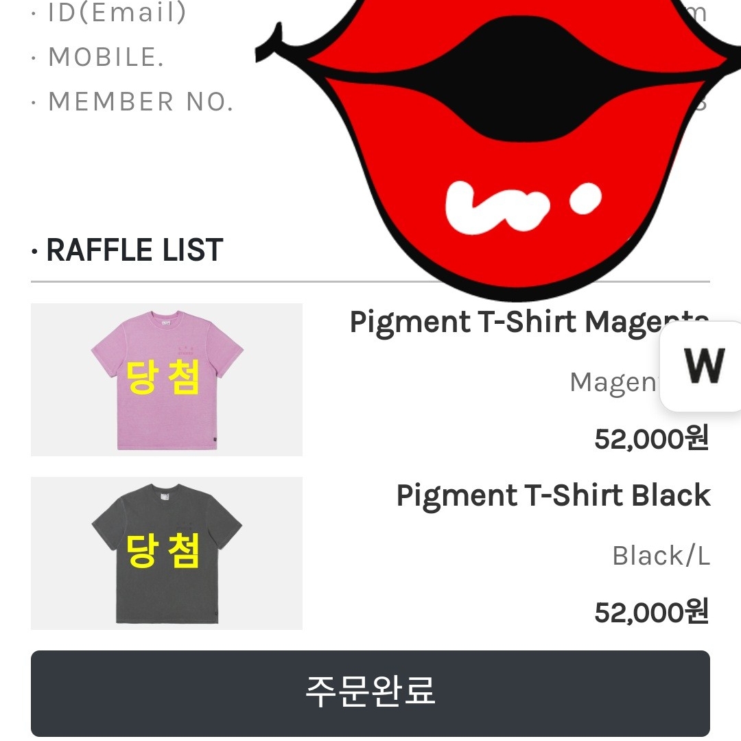 히아신스님의 스타일