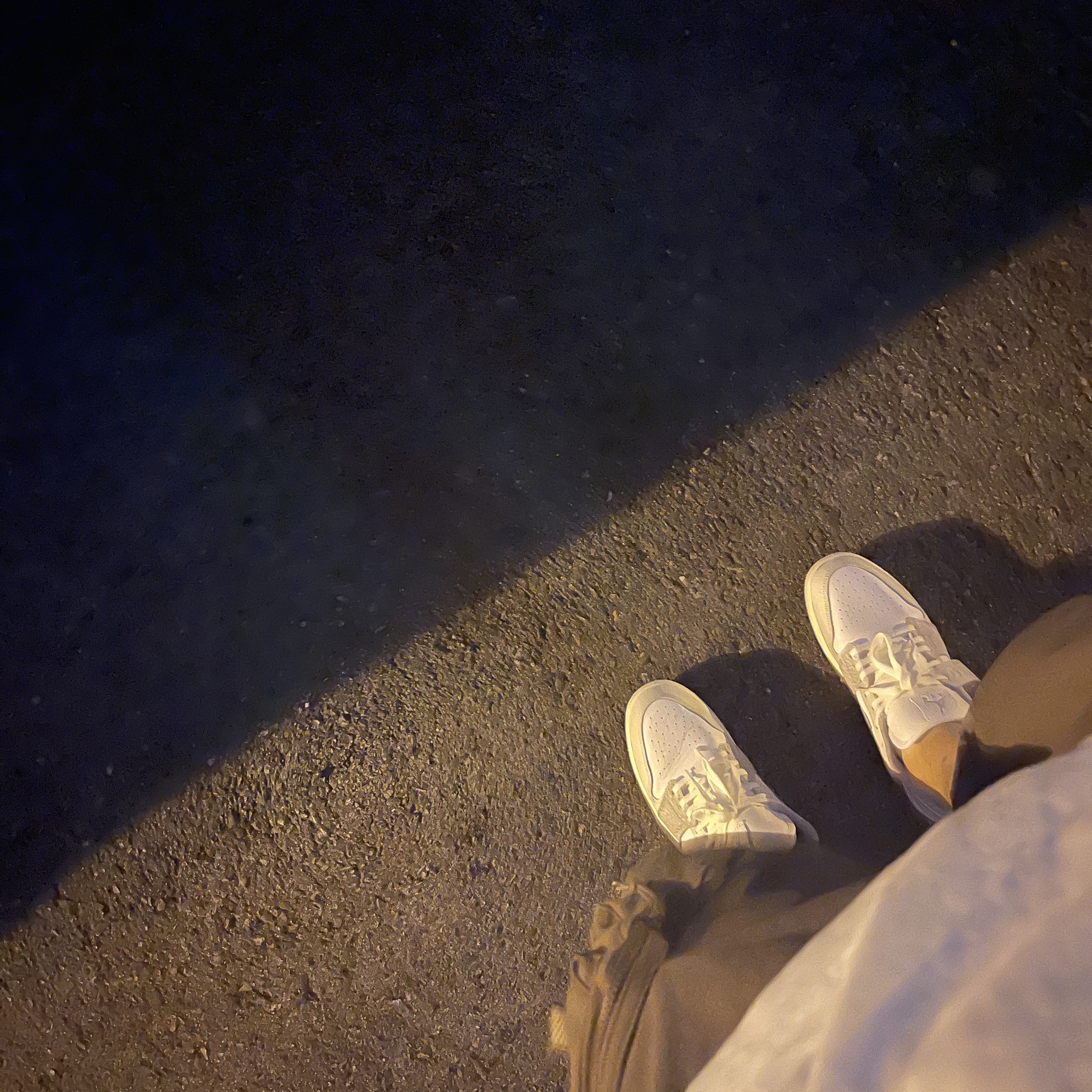 Nike ACG Cargo Shorts Ironstone - Asia, Jordan 1 Low PRM Elephant Print 착용 스타일