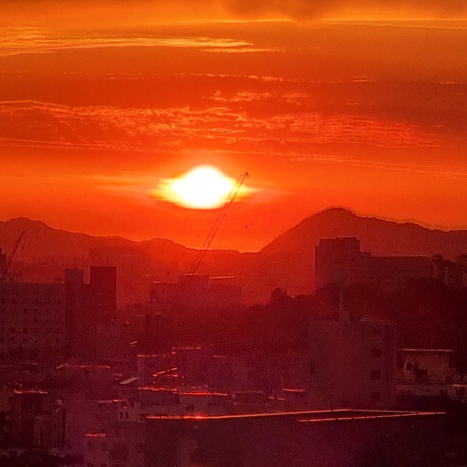삐따기님의 스타일