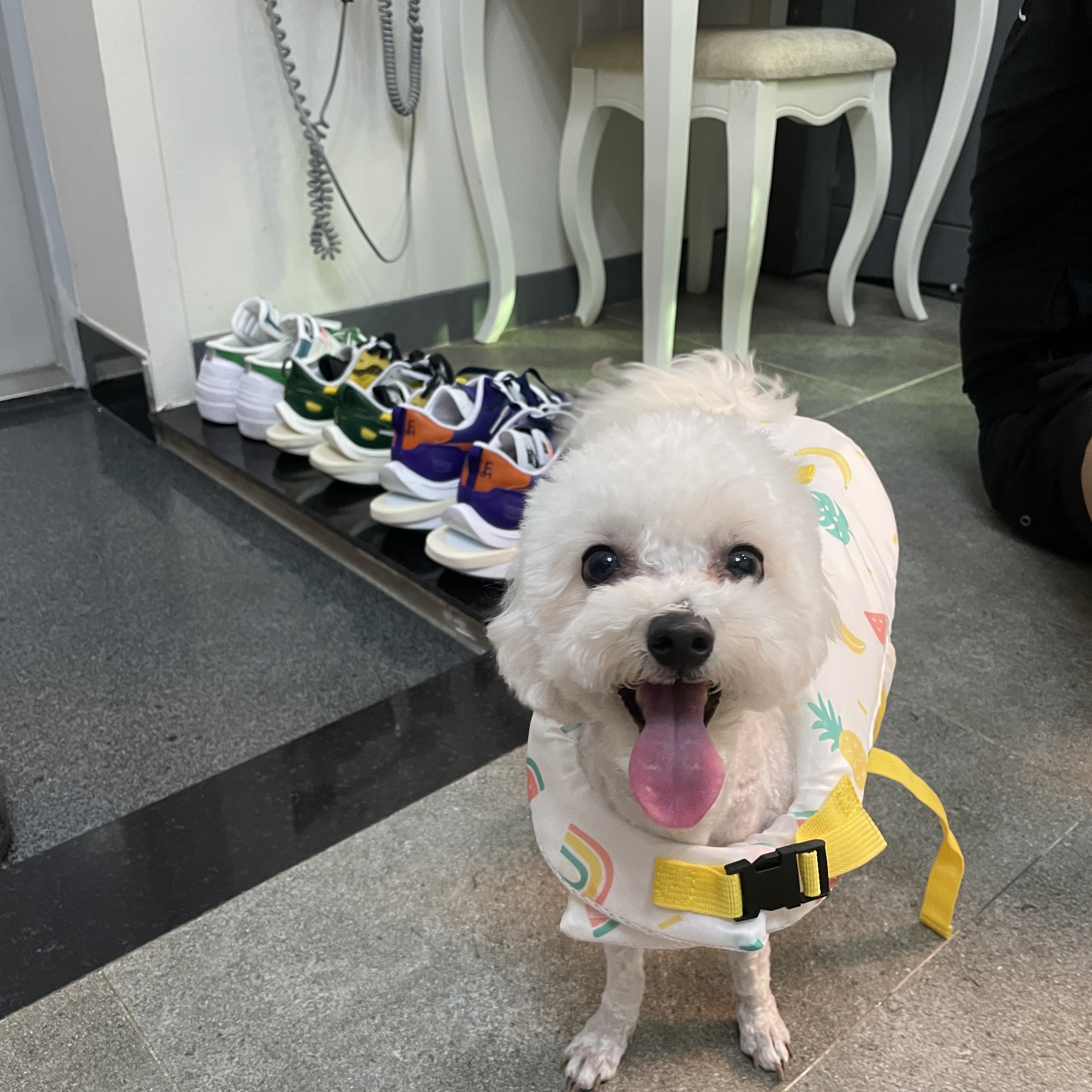 Nike x Sacai VaporWaffle Tour Yellow & Gorge Green Sail, Nike x Sacai VaporWaffle Dark Iris 착용 스타일