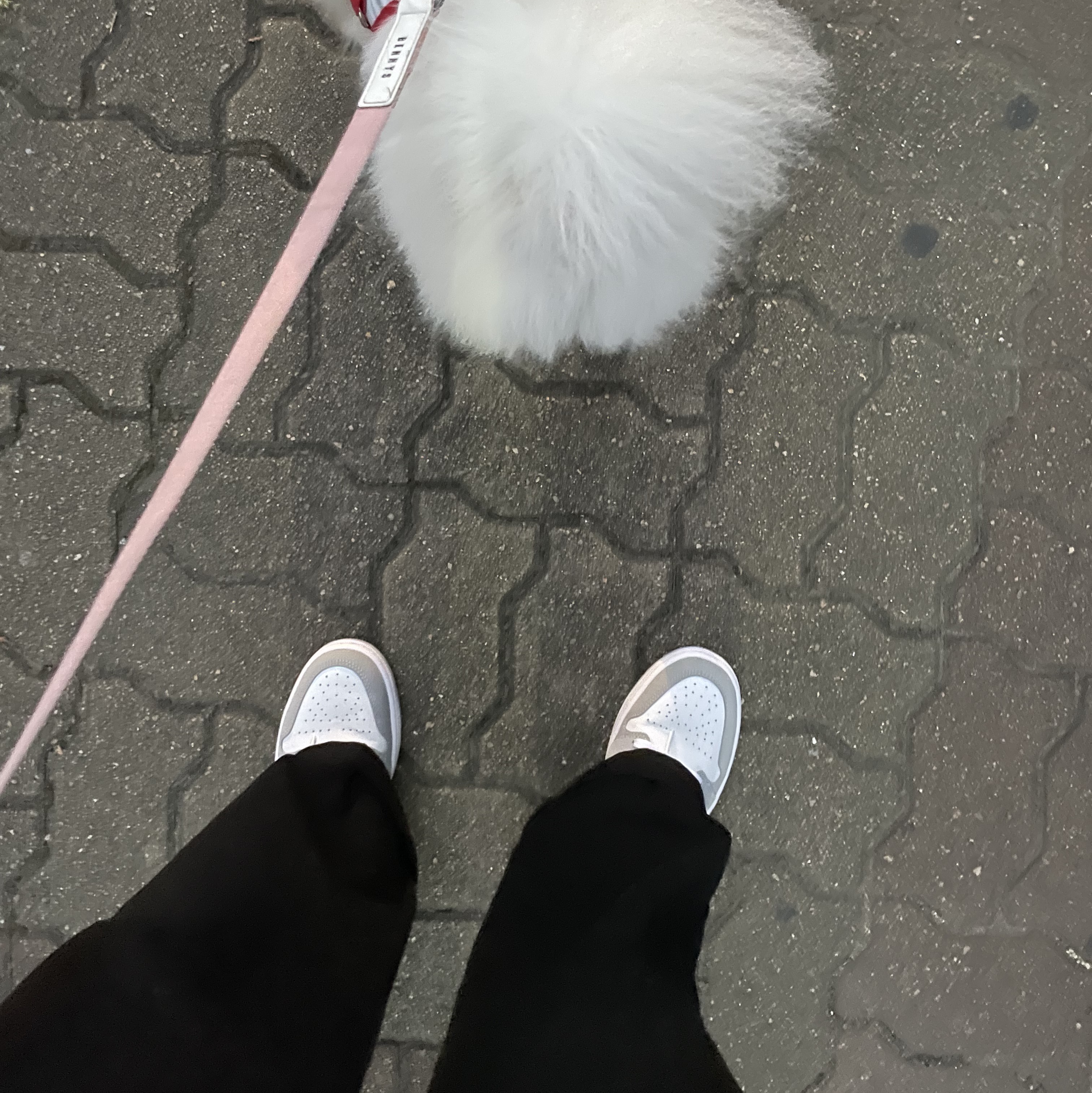 (W) Jordan 1 Low White Wolf Grey 착용 스타일 - 2